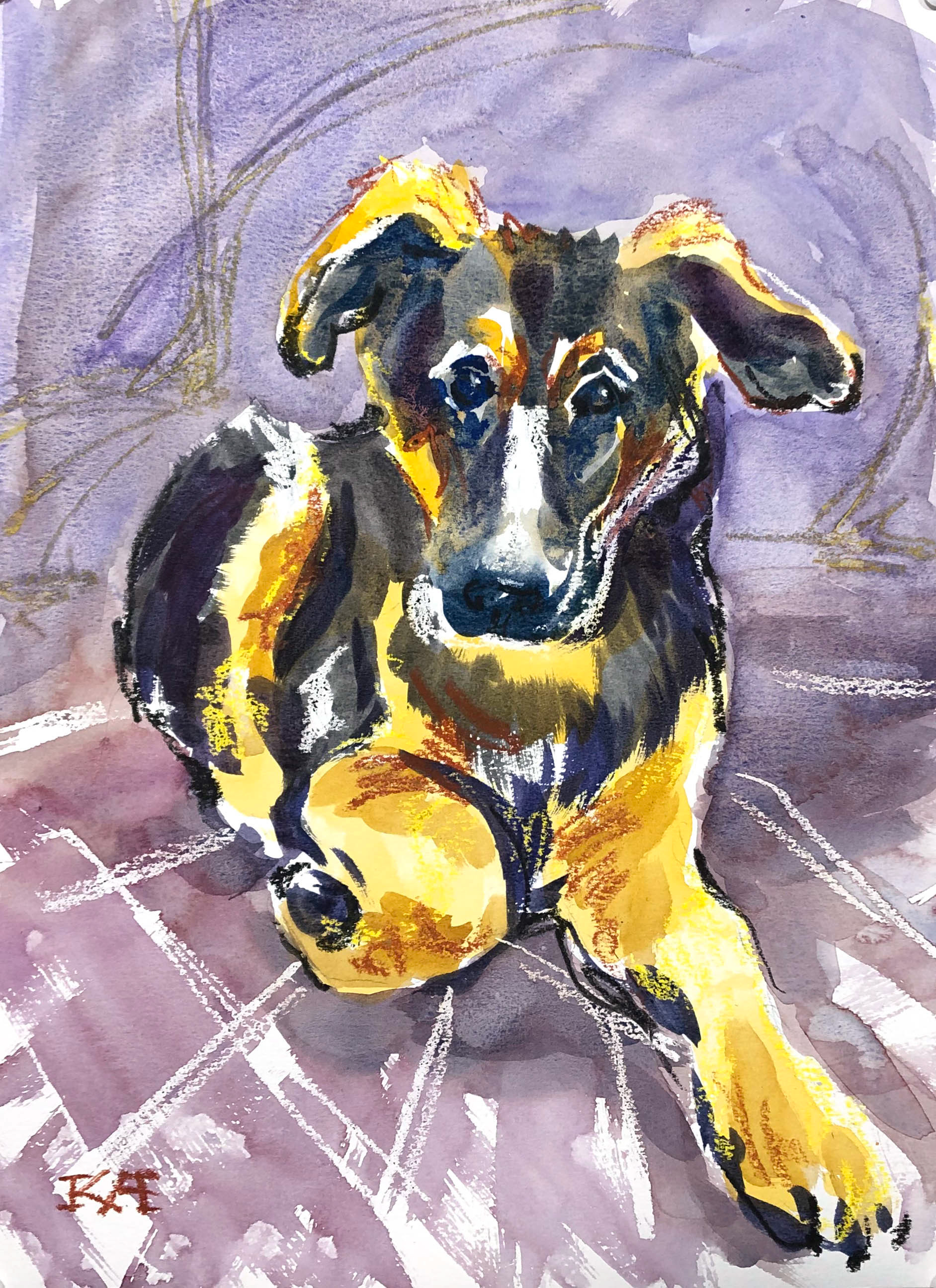 Guard dog in training 11x15 $45