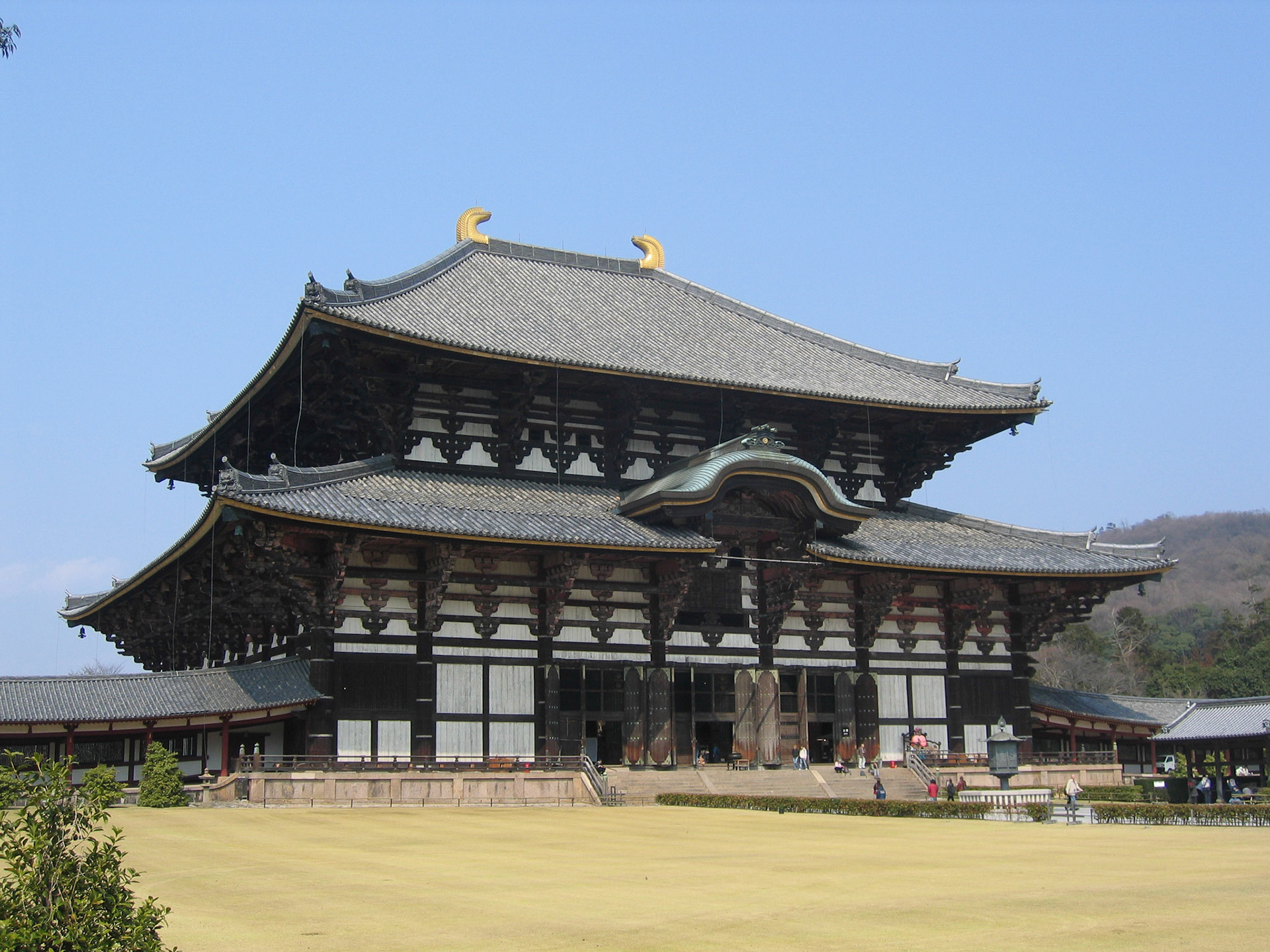SONY DSC