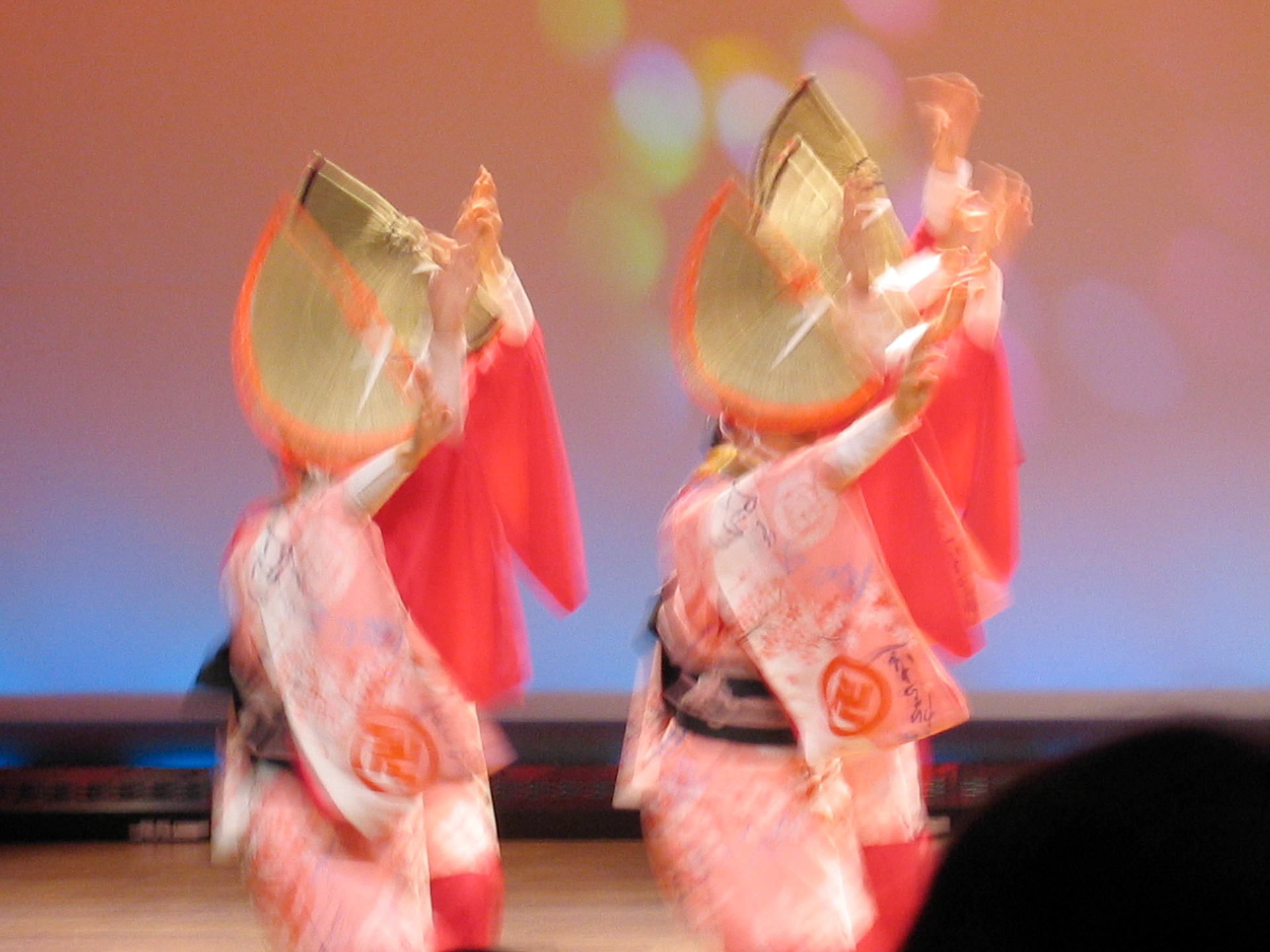 SONY DSC