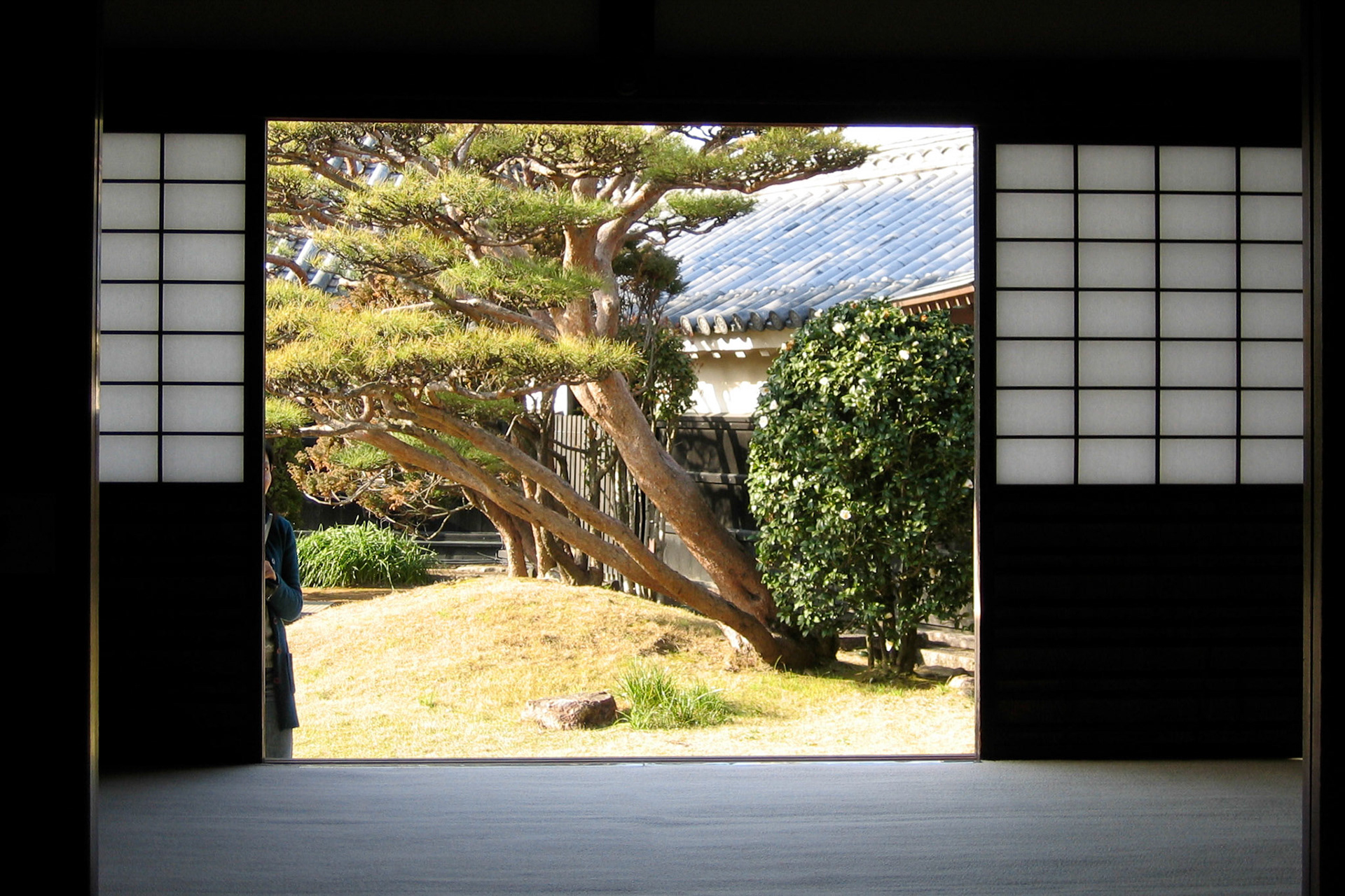 SONY DSC