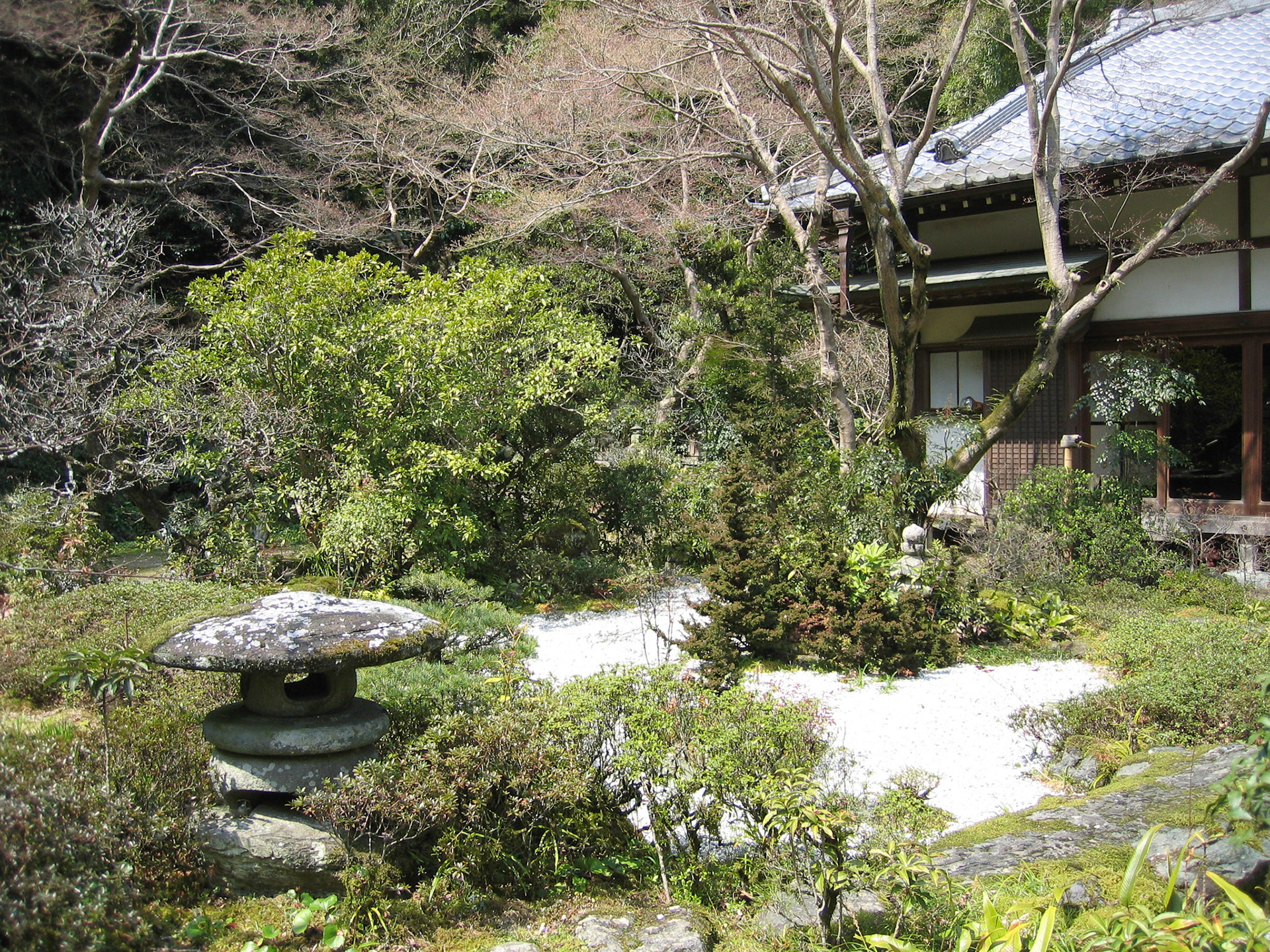 SONY DSC