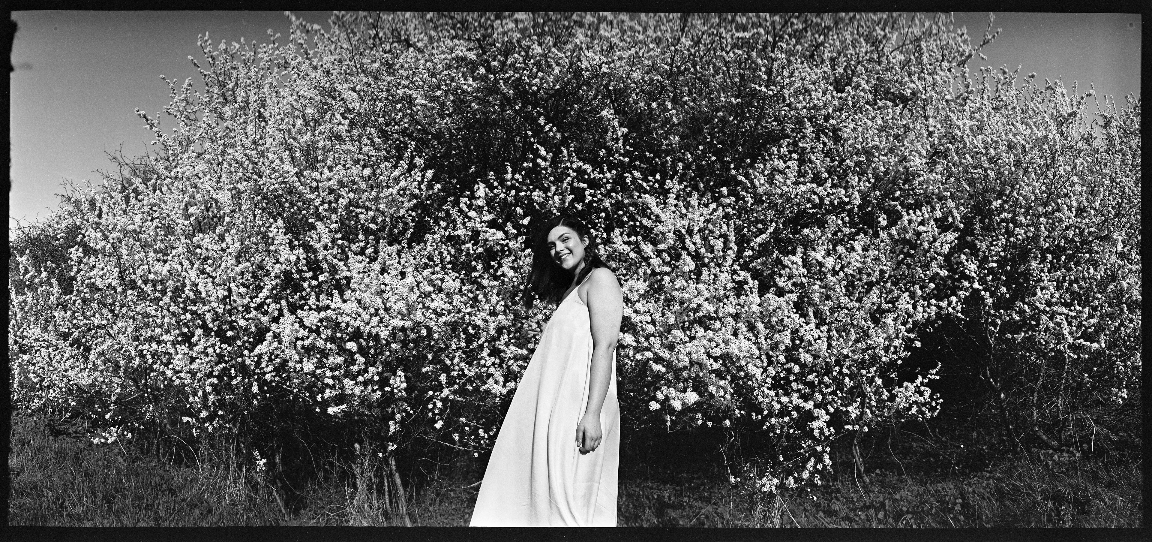 Jasmine stands infront of a large blossom bush, wearing a light dress, the image is black and white. It was taken using a Panon Wide Angle Camera and is in Panoramic format.