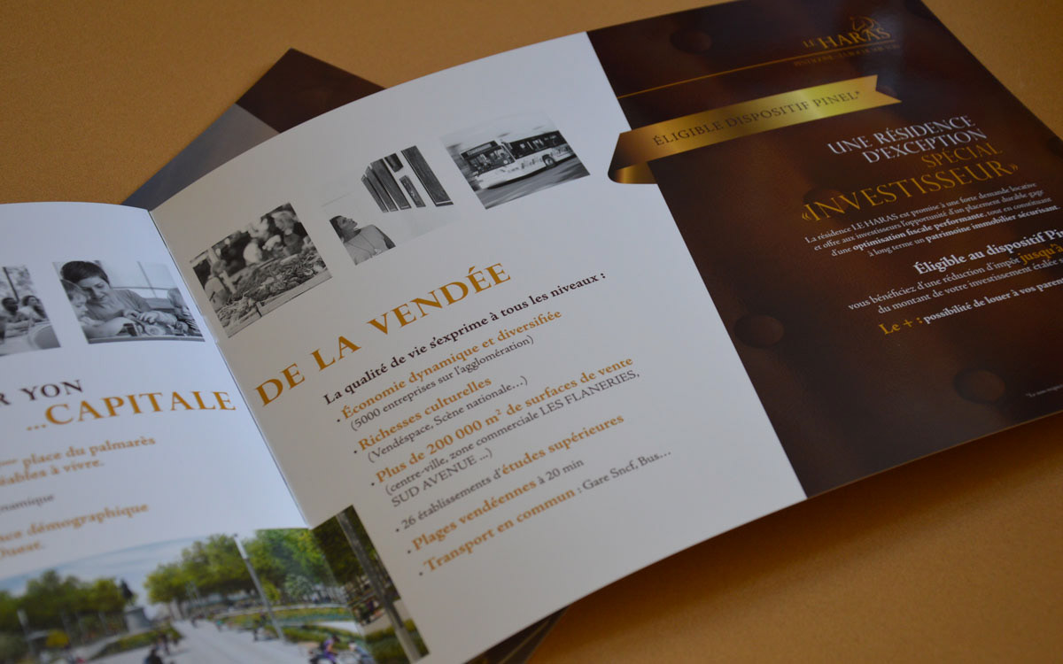 création d'un logo, identité visuelle, bloc marque et création graphique de la mise en page de la brochure de présentation, plaquette de présentation du projet, en Vendée, Montaigu
