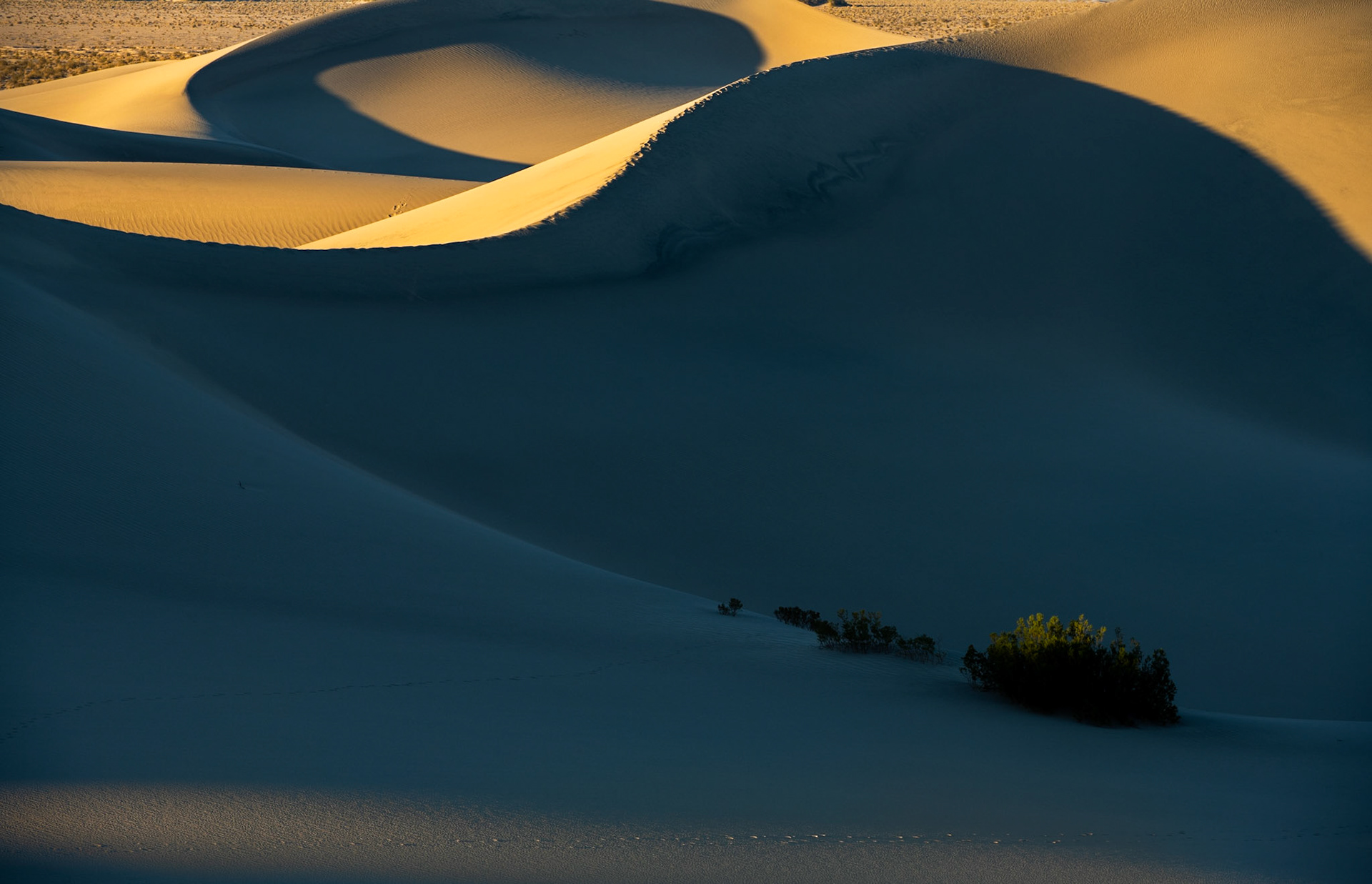 Sand dunes of Death Valley