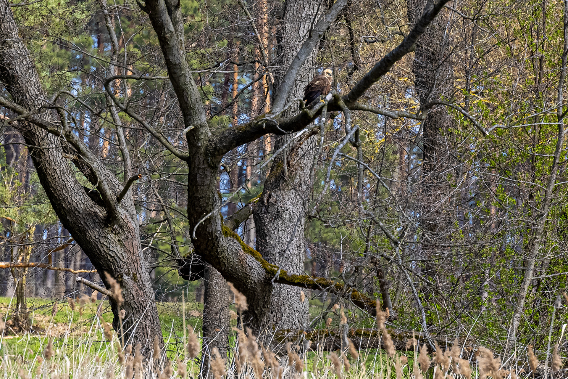 Alles unter Kontrolle!