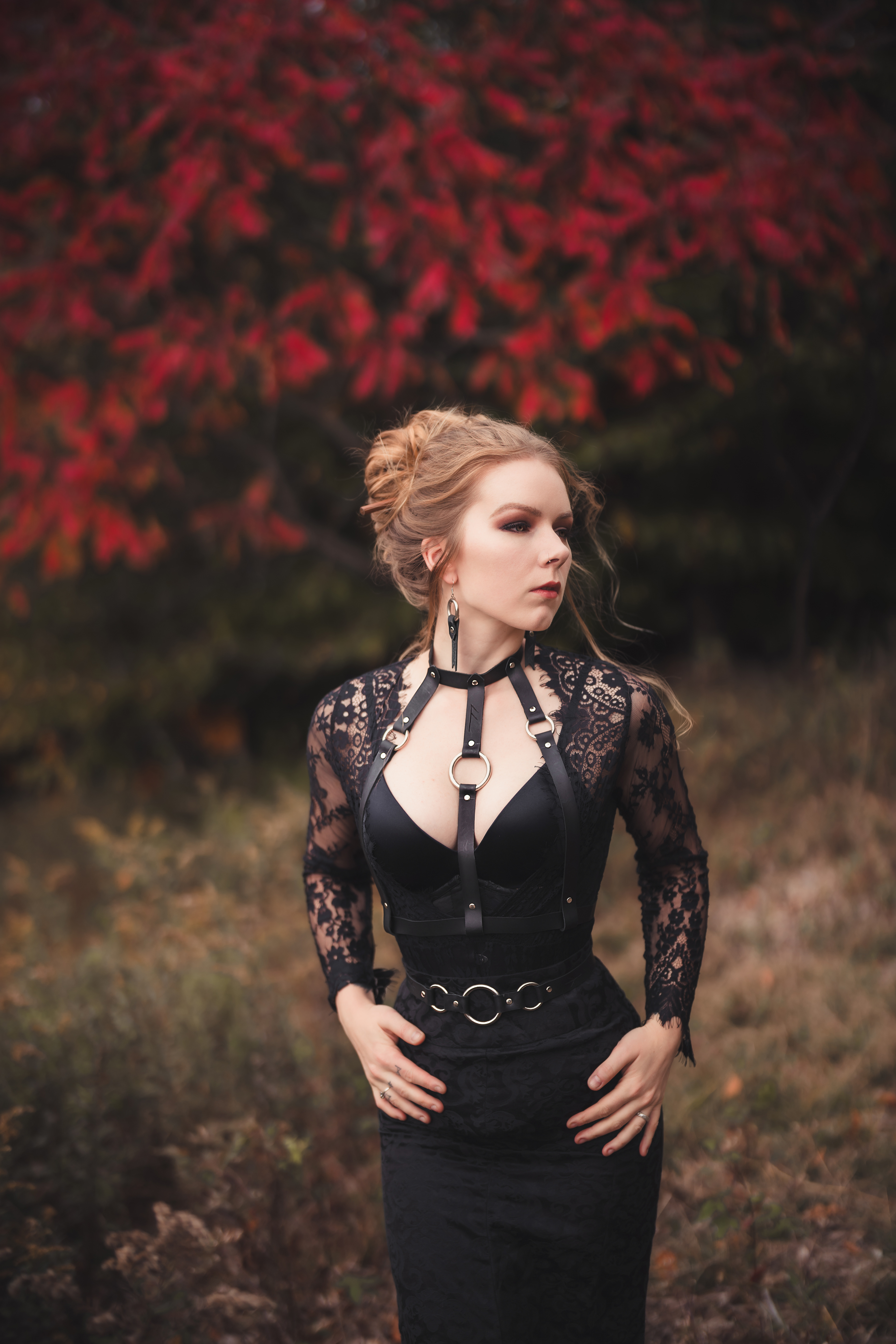 Embercraft Creations Leather harness & belt