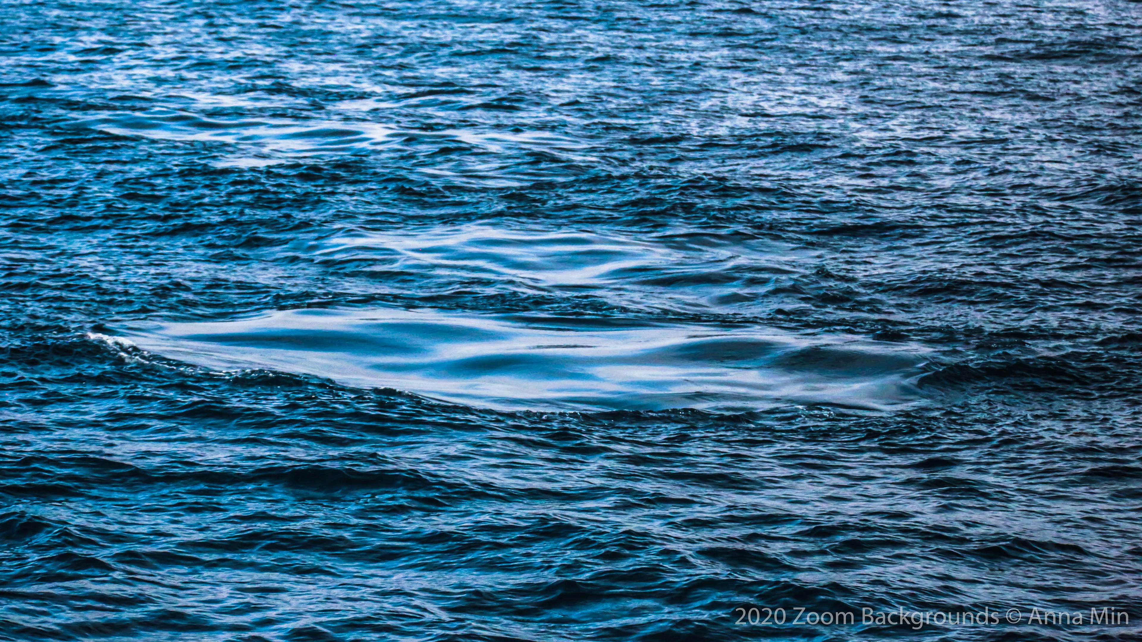 Traces of Humpback