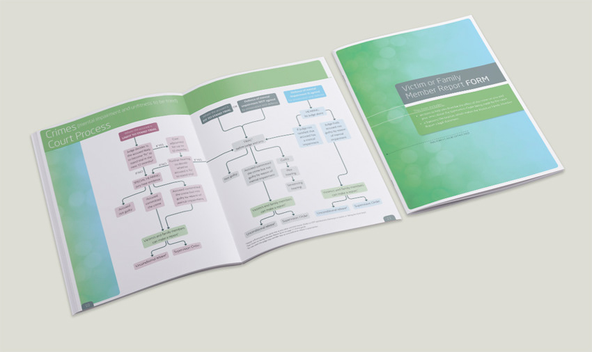 Internal spread of information guide showing flow chart design and separate detachable form.