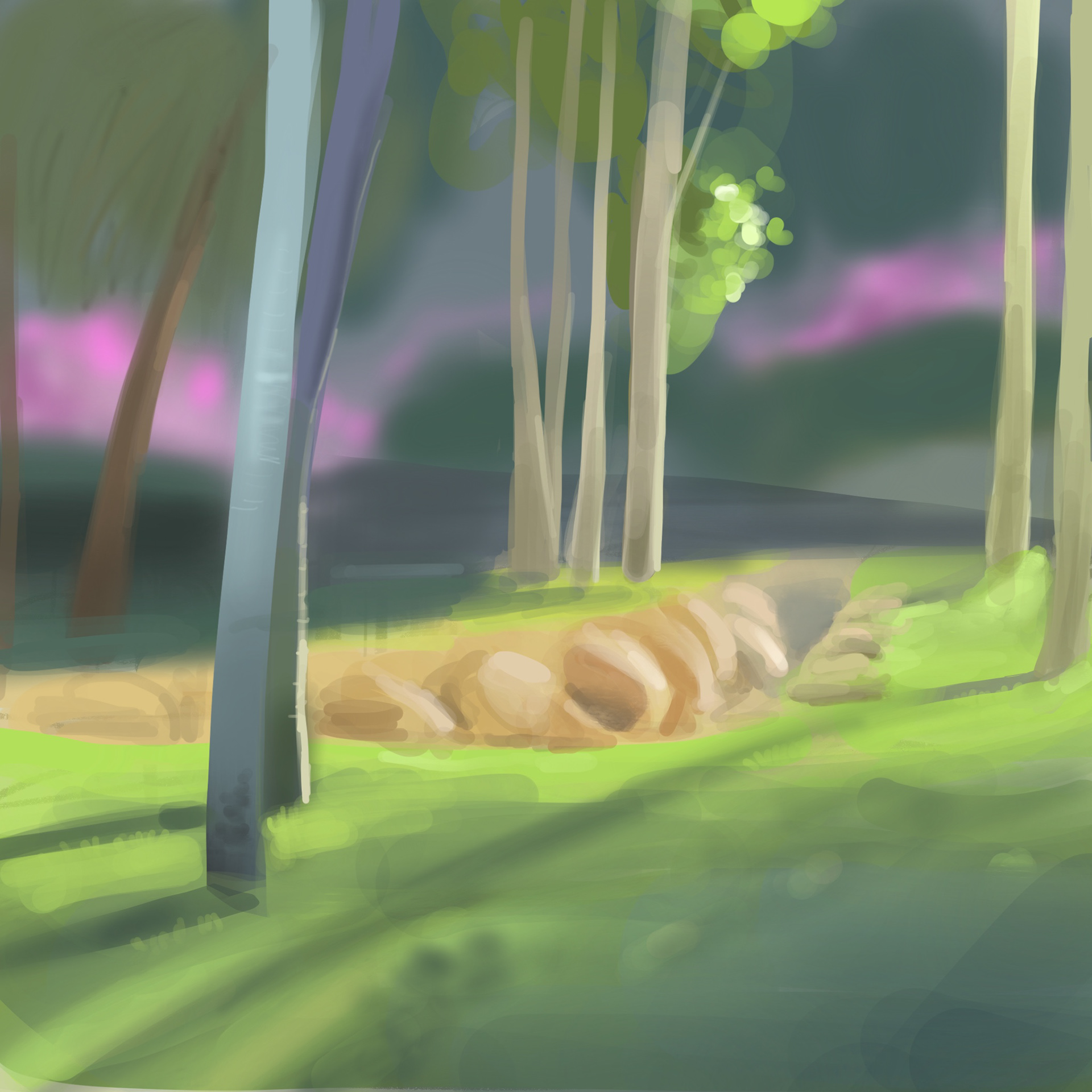 30 min study. Southbank, QLD