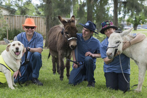 Camp Quality Melbourne 2016