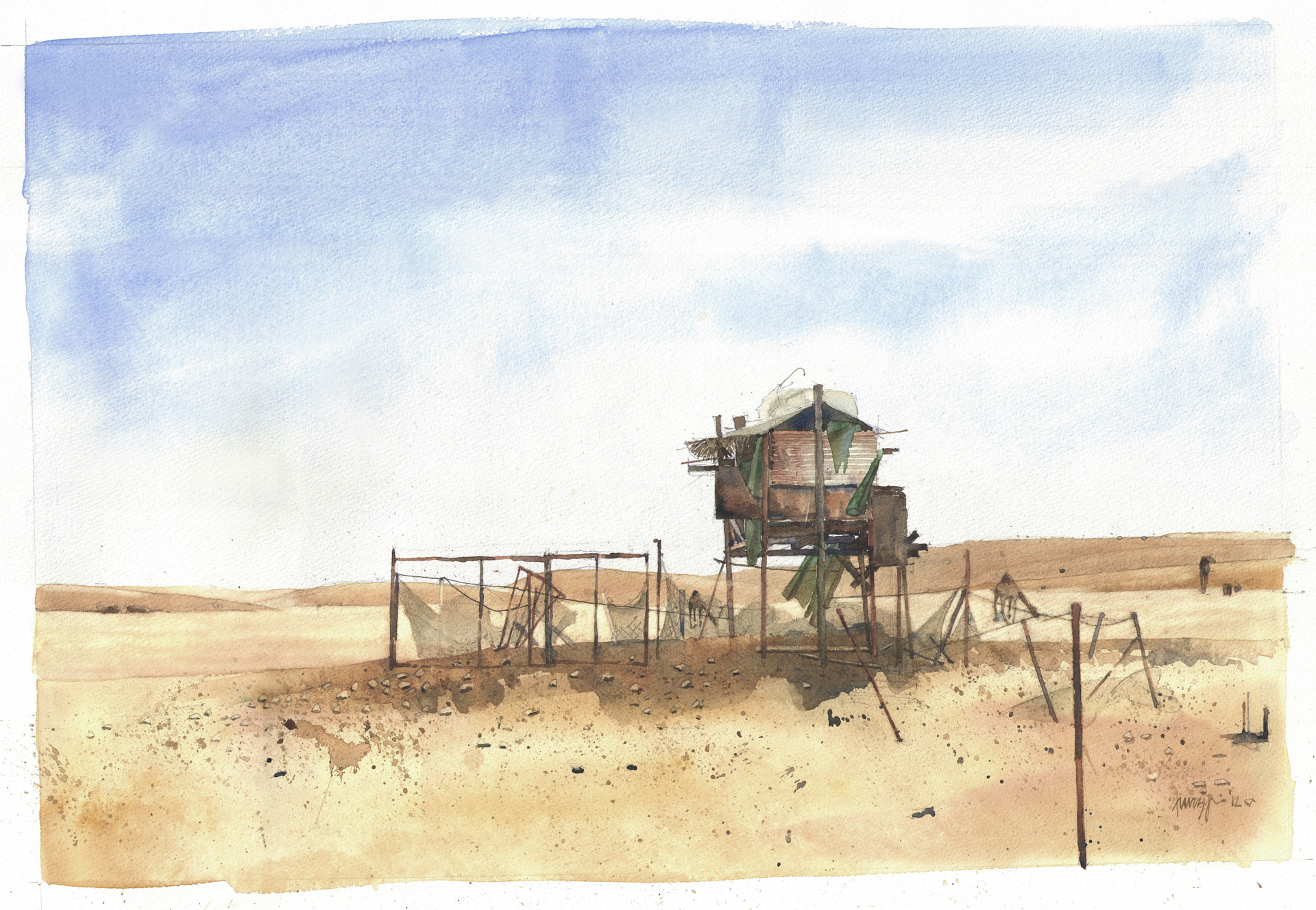 'Camel Farm' 2012