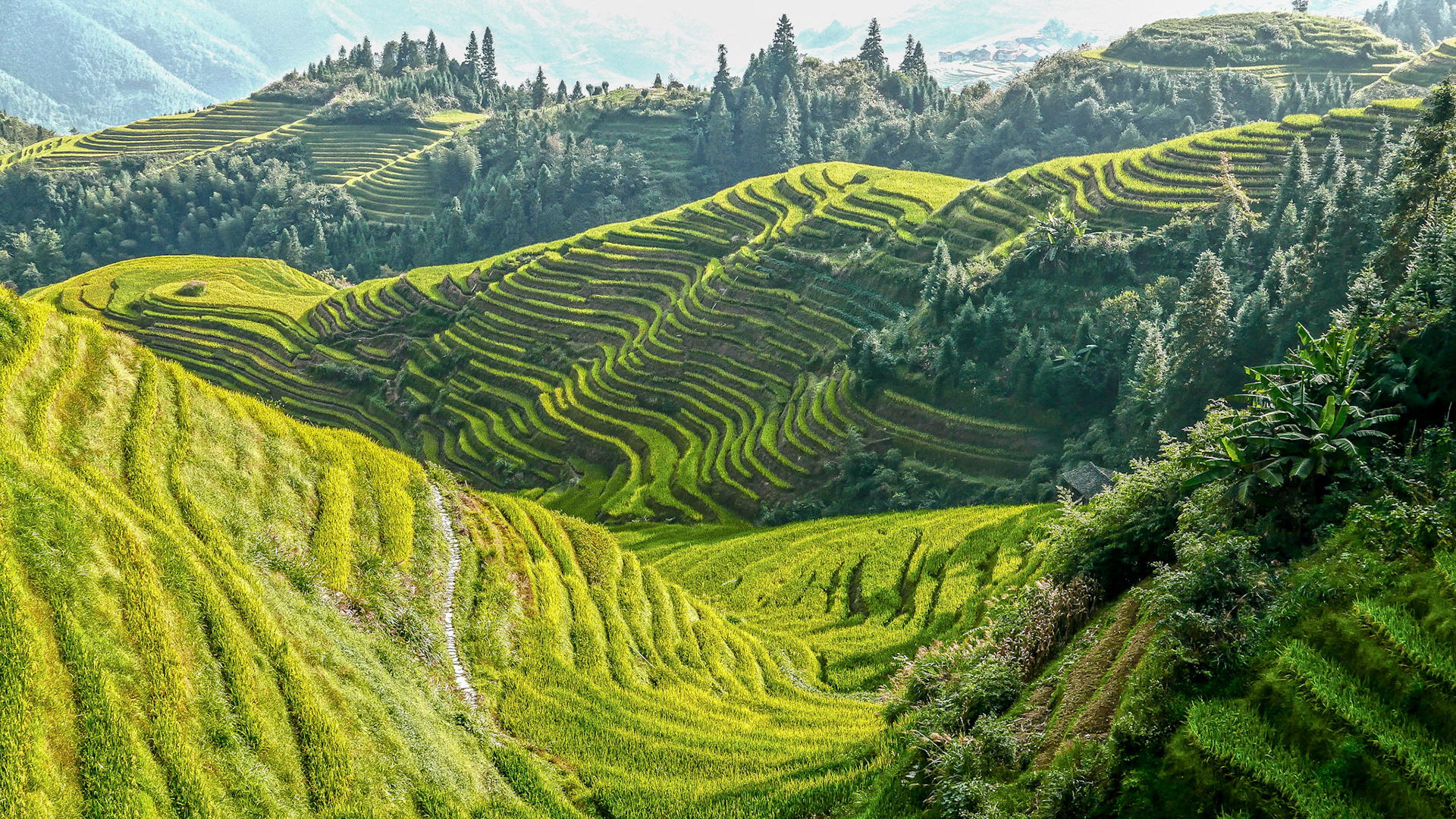 Simon Brice Photography - Yangshuo & Longsheng Rice Terraces