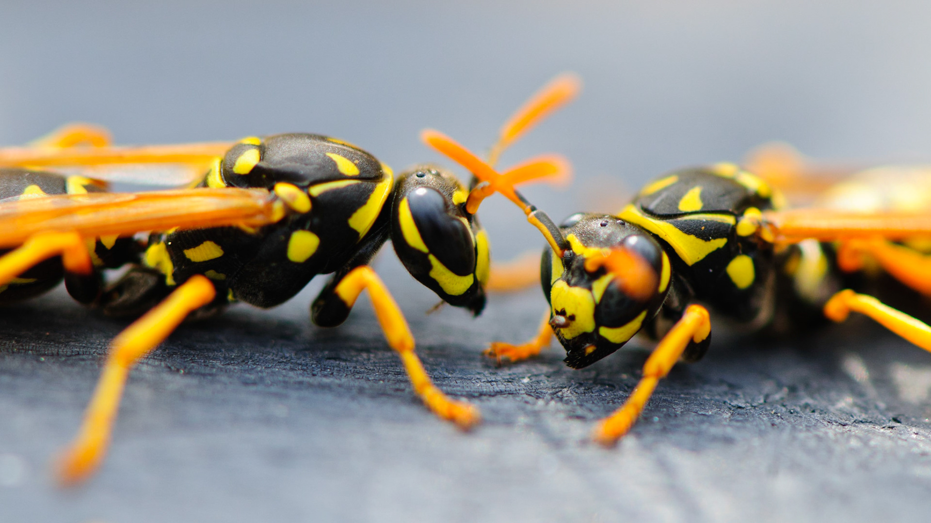 No Secrets Between Friends