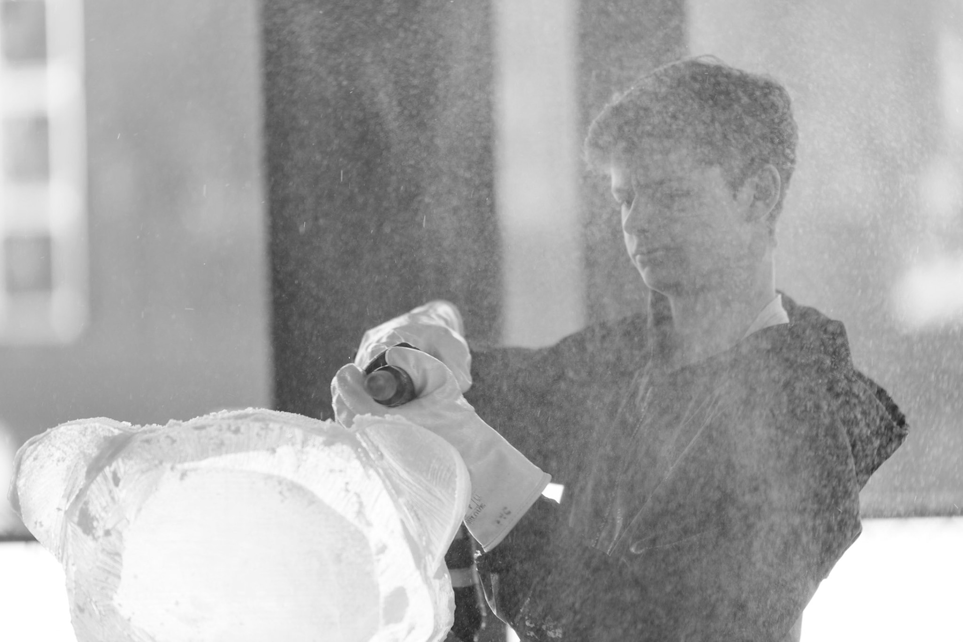 Frozen In Ice Carnival