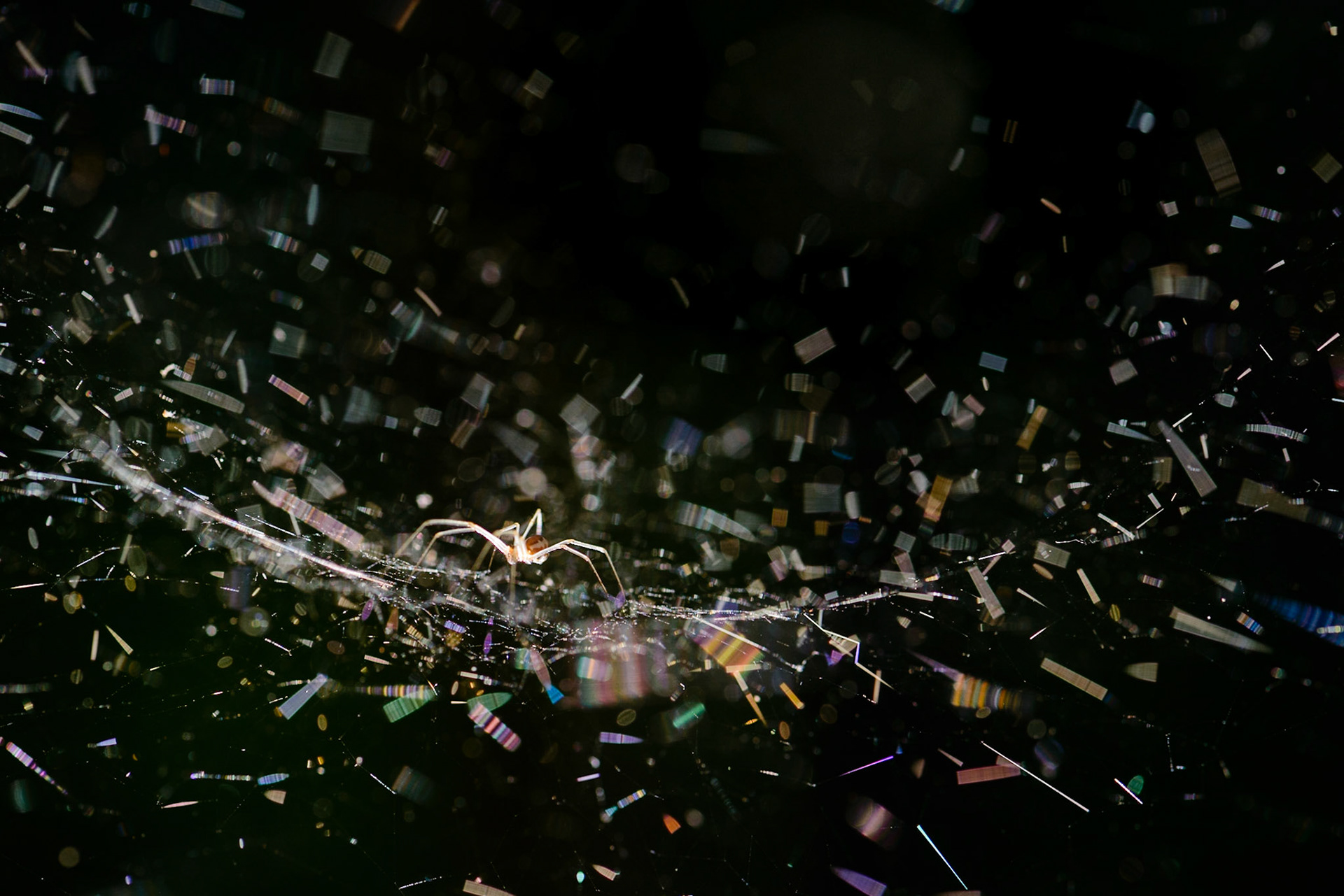 A Little Bit of Everything