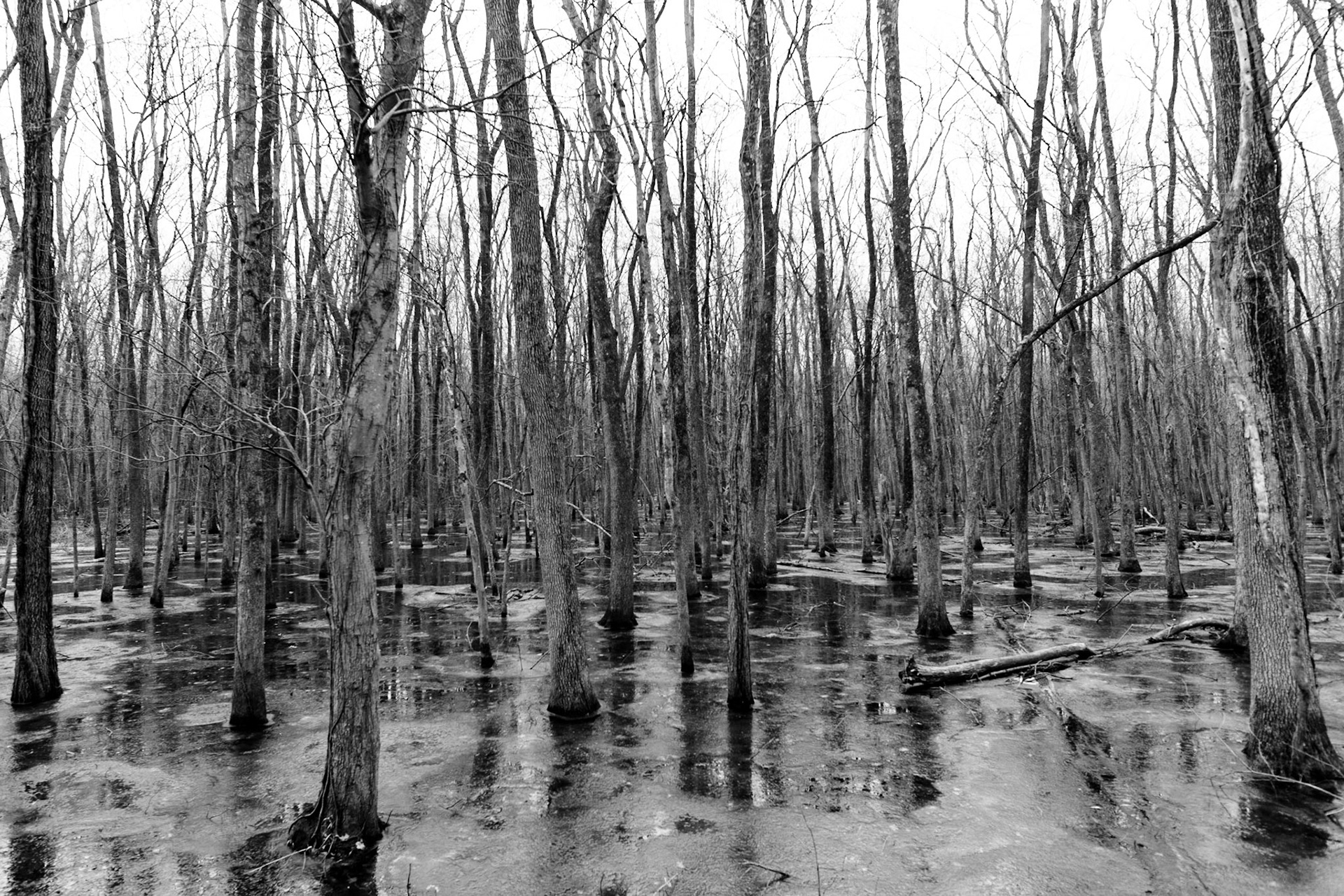 Is it something to be optimistic about