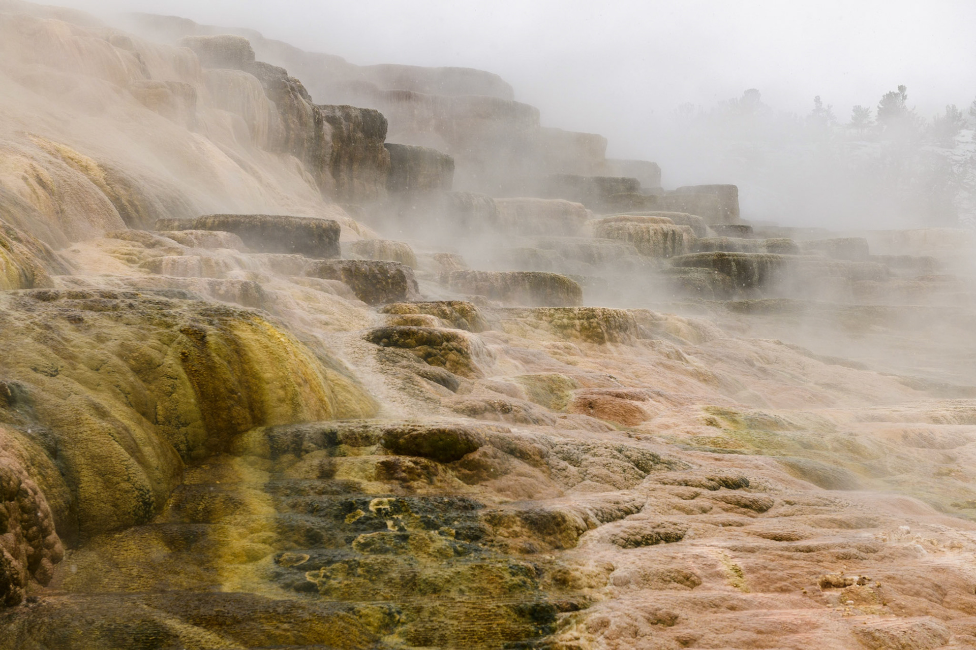 Mammoth Hot Springs