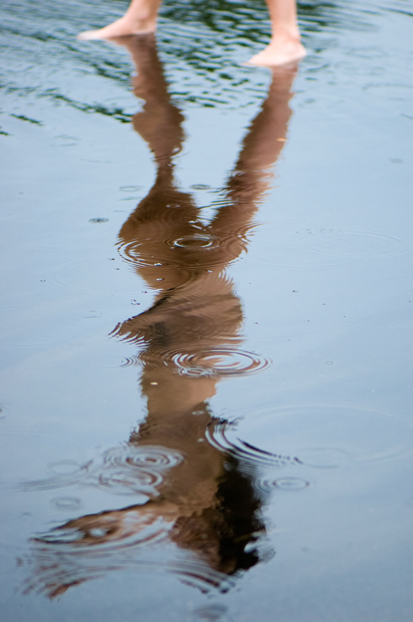 In Search of Reality