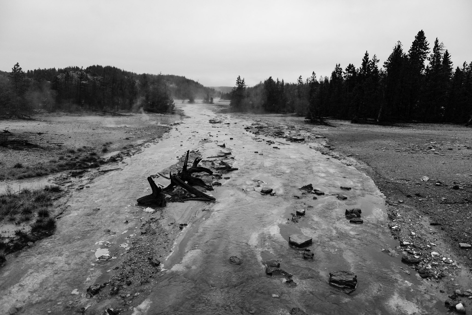 Norris Geyser Basin