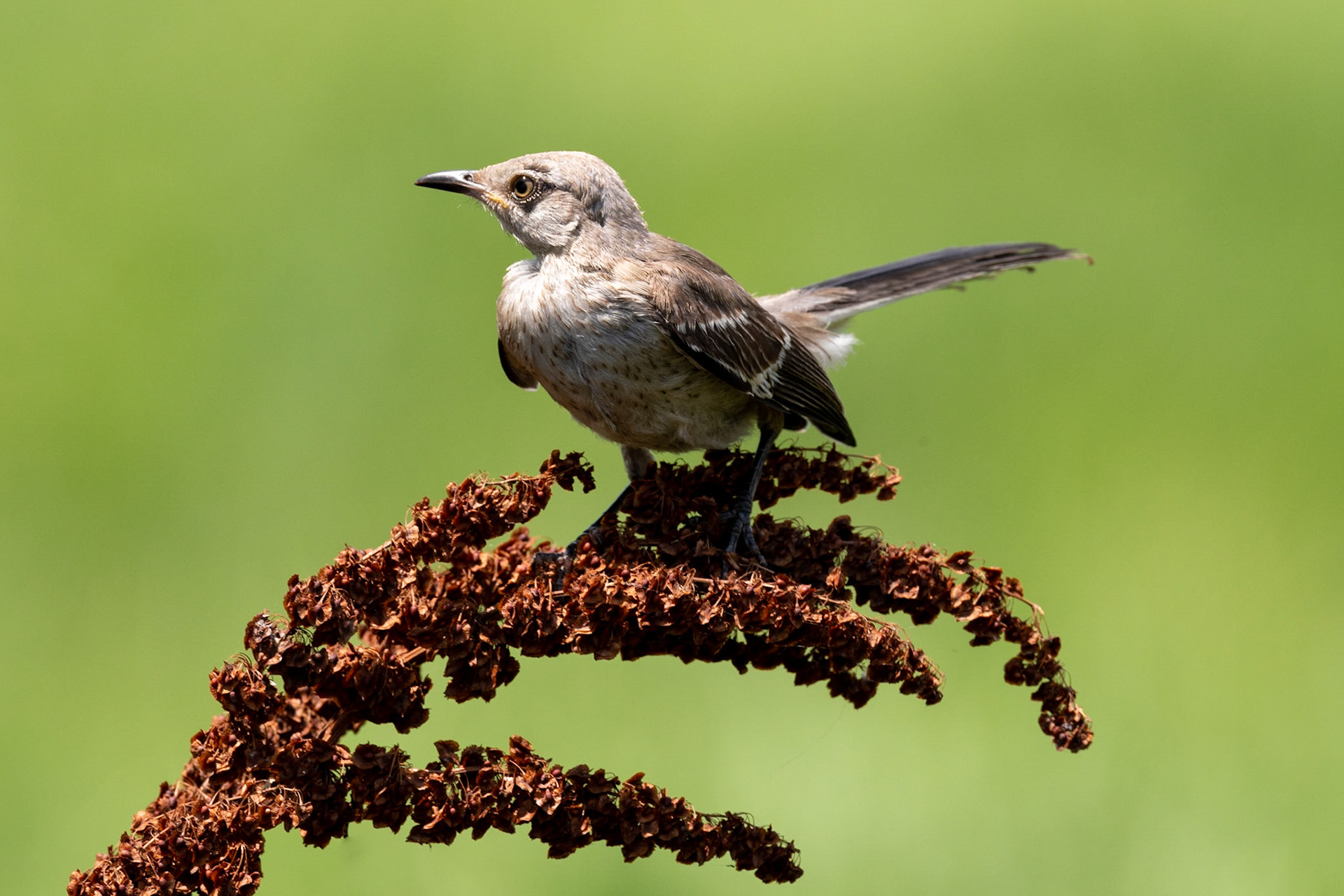 More Because I asked