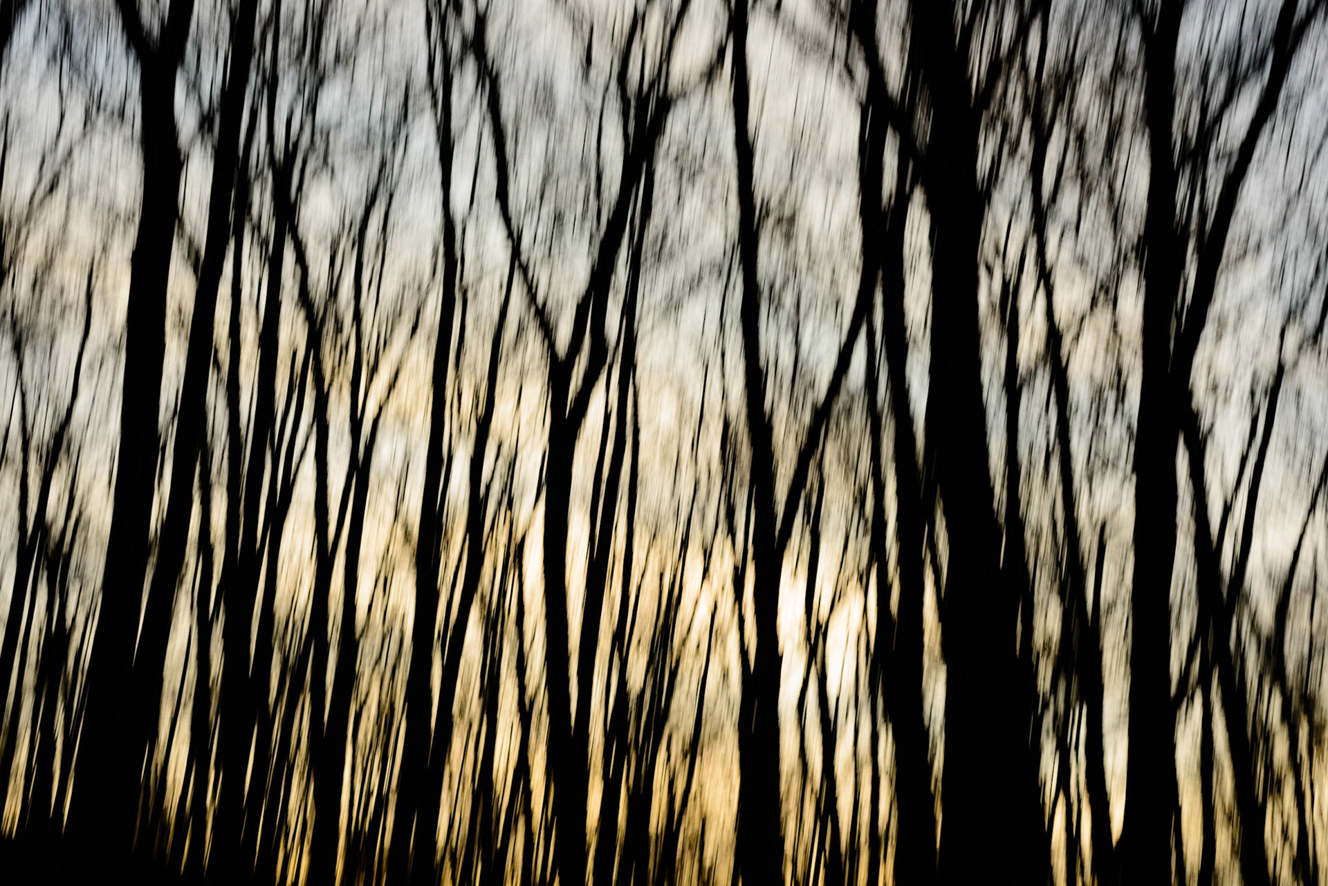 The Dying of the Light