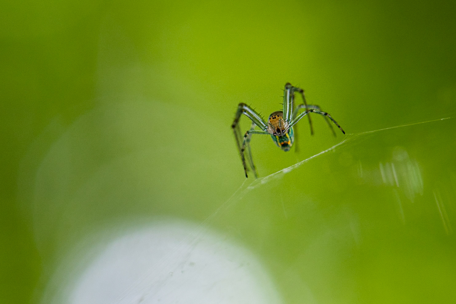 Gonna Take Some Time