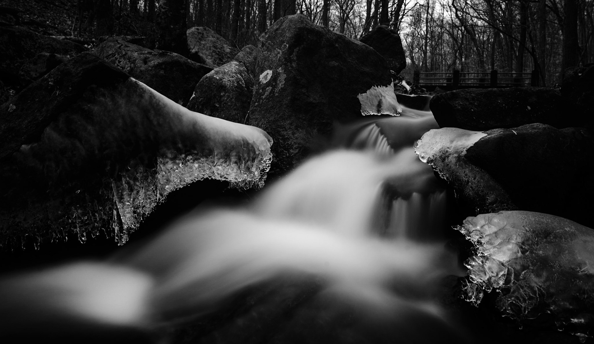 That Time I Fell In Love