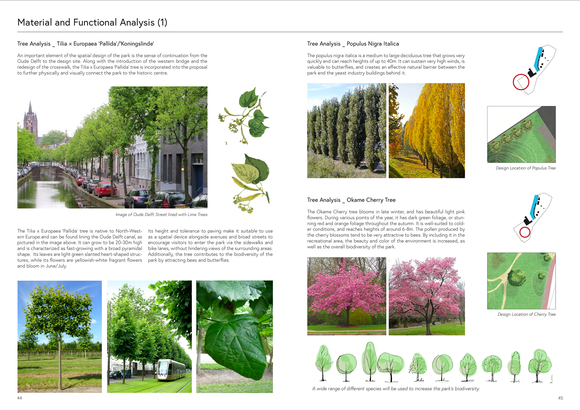 Report Excerpt - Material and Functional Analysis (2)