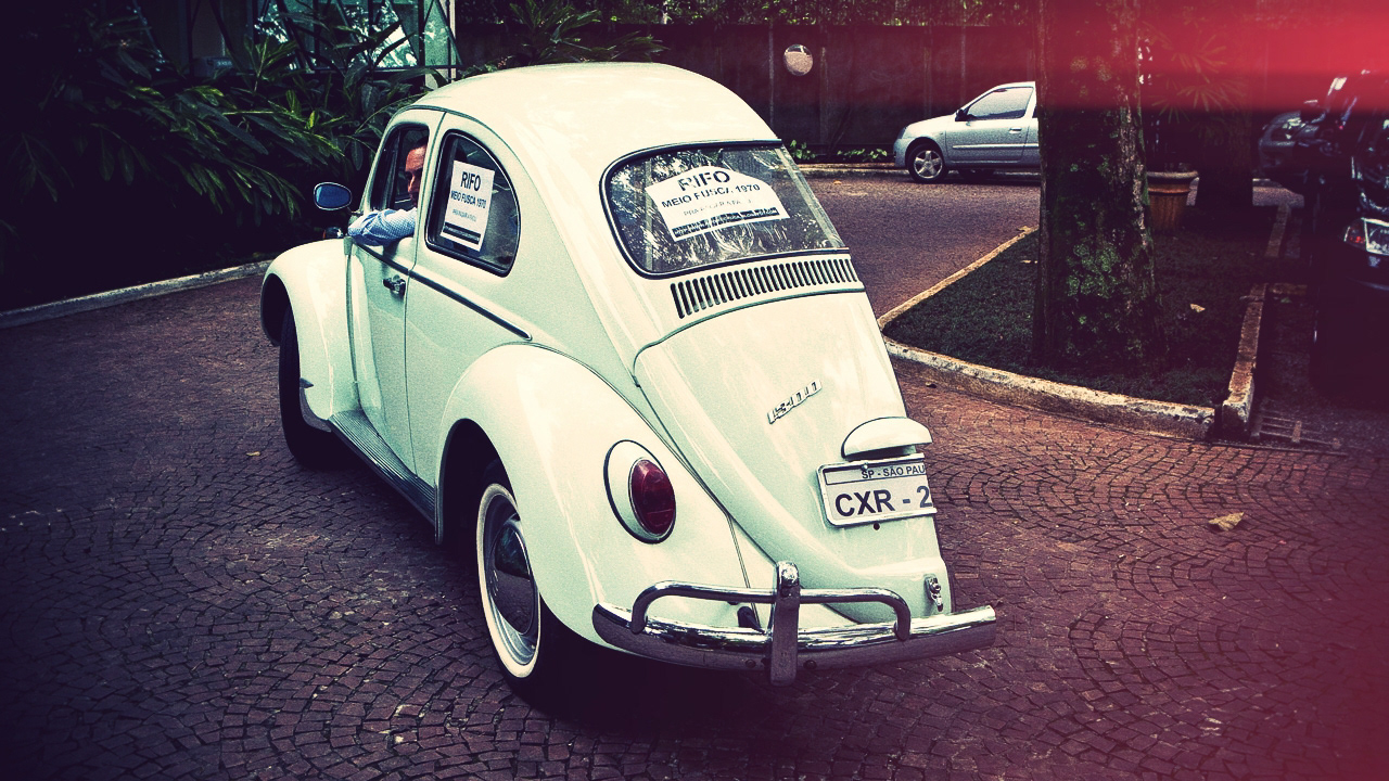Isabelle de Vooght / Half Beetle