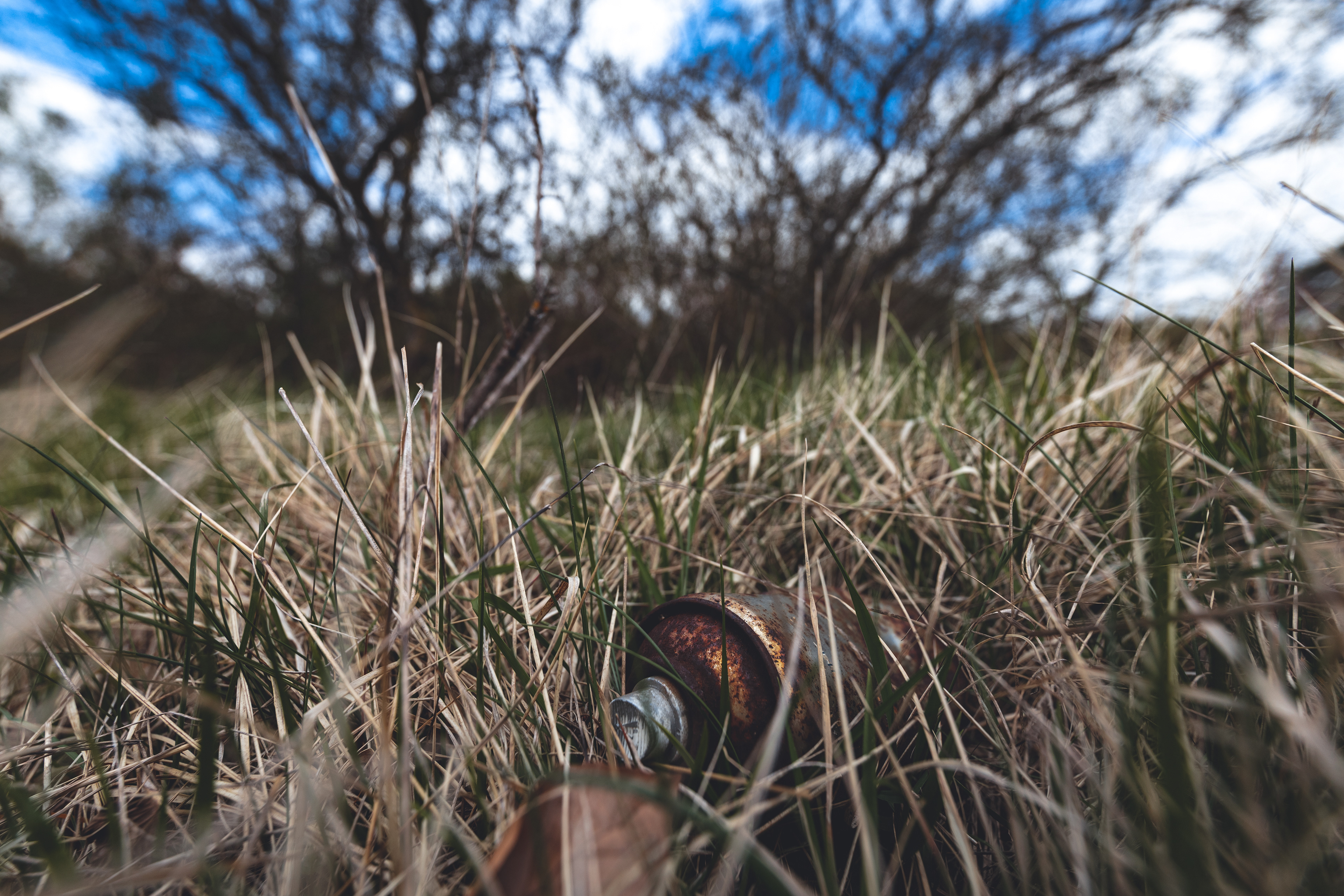 Bilder wurden aufgenommen an der Fröttmaninger Heide in München, nahe der Allianzarena. Bei der Heide handelt es sich um einen ehemaligen Truppenübungsplatz am Rande von München, der von Wäldern, Tieren, Insekten, Hummeln, Bienen und sogar Spechten bewohnt ist. Tags: Bilder aufgenommen während meiner Reise nach Japan in Asien. Während dieses Trips erweiterte ich mein Reiseportfolio mit Eindrücken aus Tokio, Kyoto und Osaka. Die Bilder fangen Einblicke in ein modernes, traditionelles und alltägliches, fern von Tourismus, intimes Japan: München, Fröttmaninger Heide, Natur, forest, Wald, lost places, Fotograf, München, Photographer, Munich, Portrait, Porträt, Portfolio. Streetphotography, spray-can