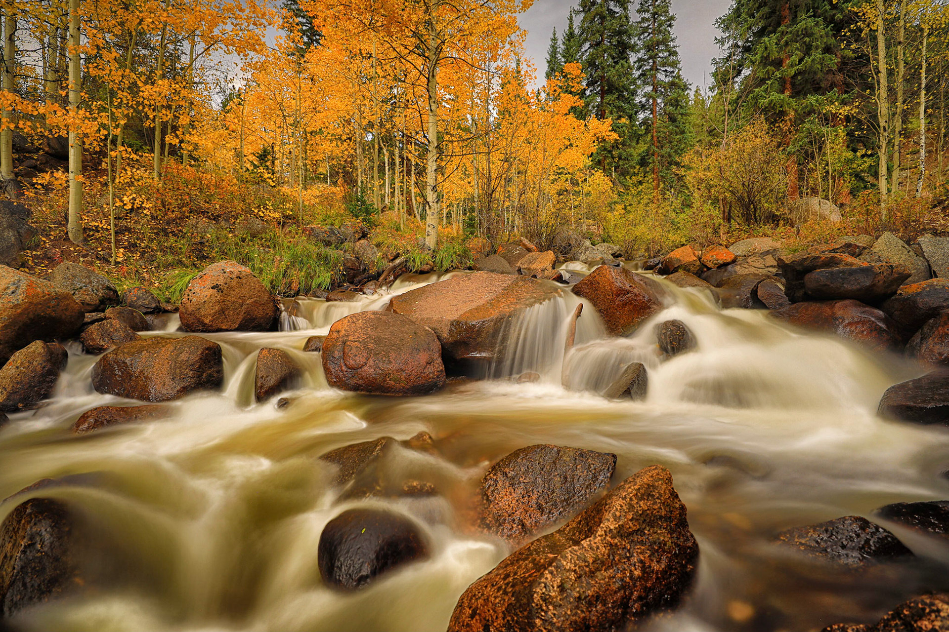 Guanella Pass Grant Colorado in the Fall