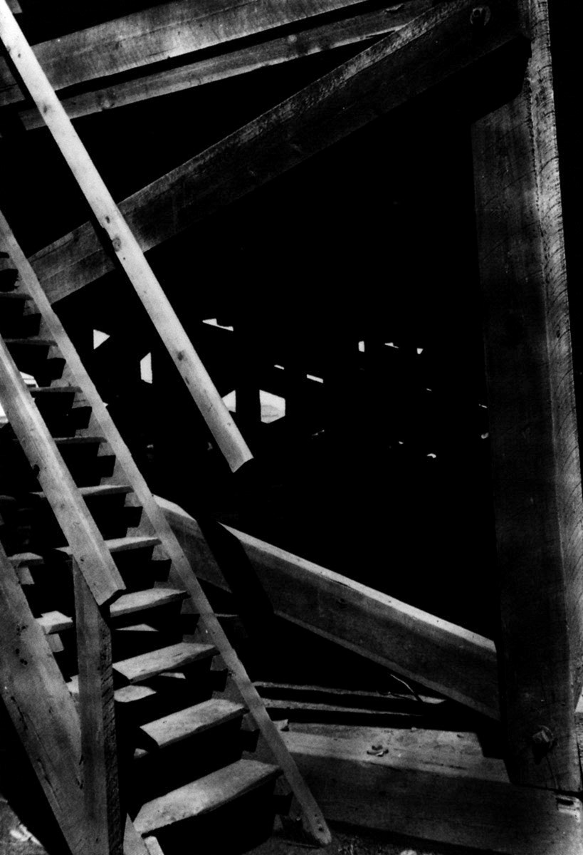 Photograph by Walker Evans
