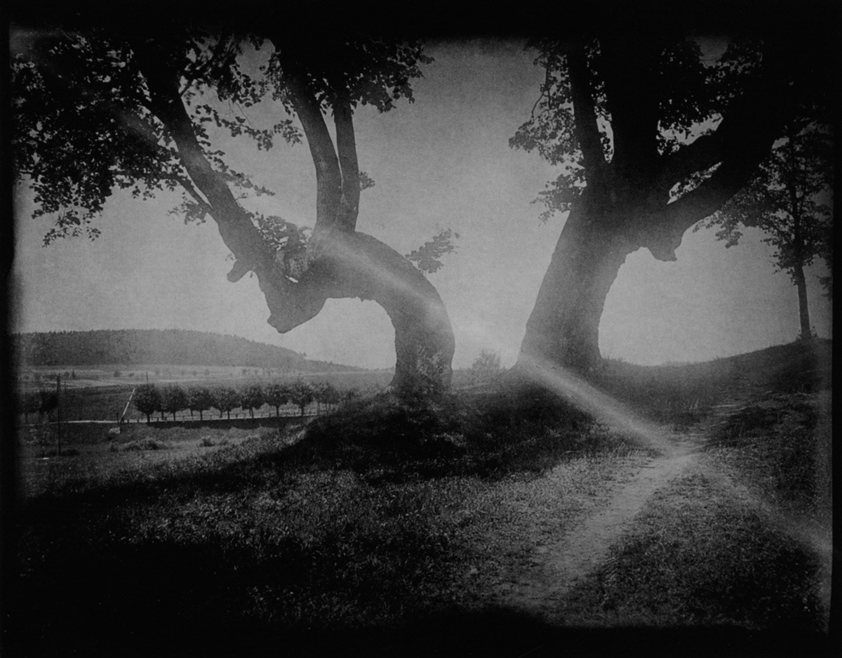 Photograph by Alphonse Mucha