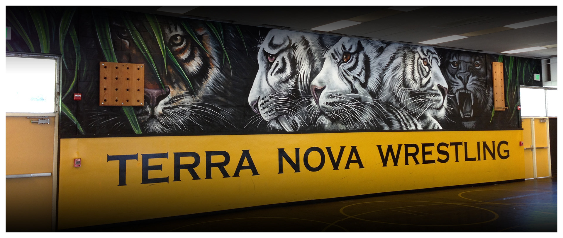 Bogdanov Creative - Terra Nova High School