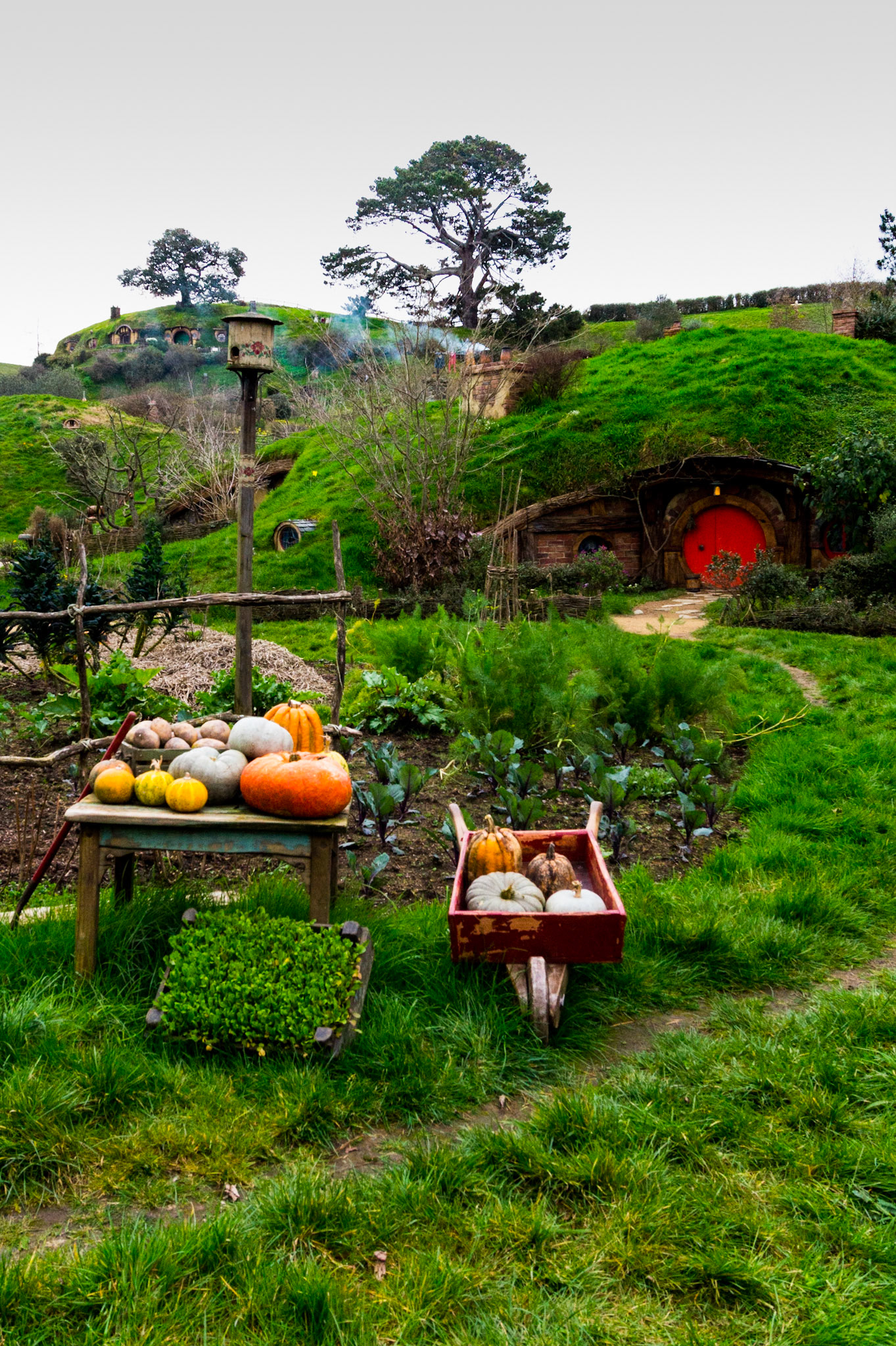 Hobbiton