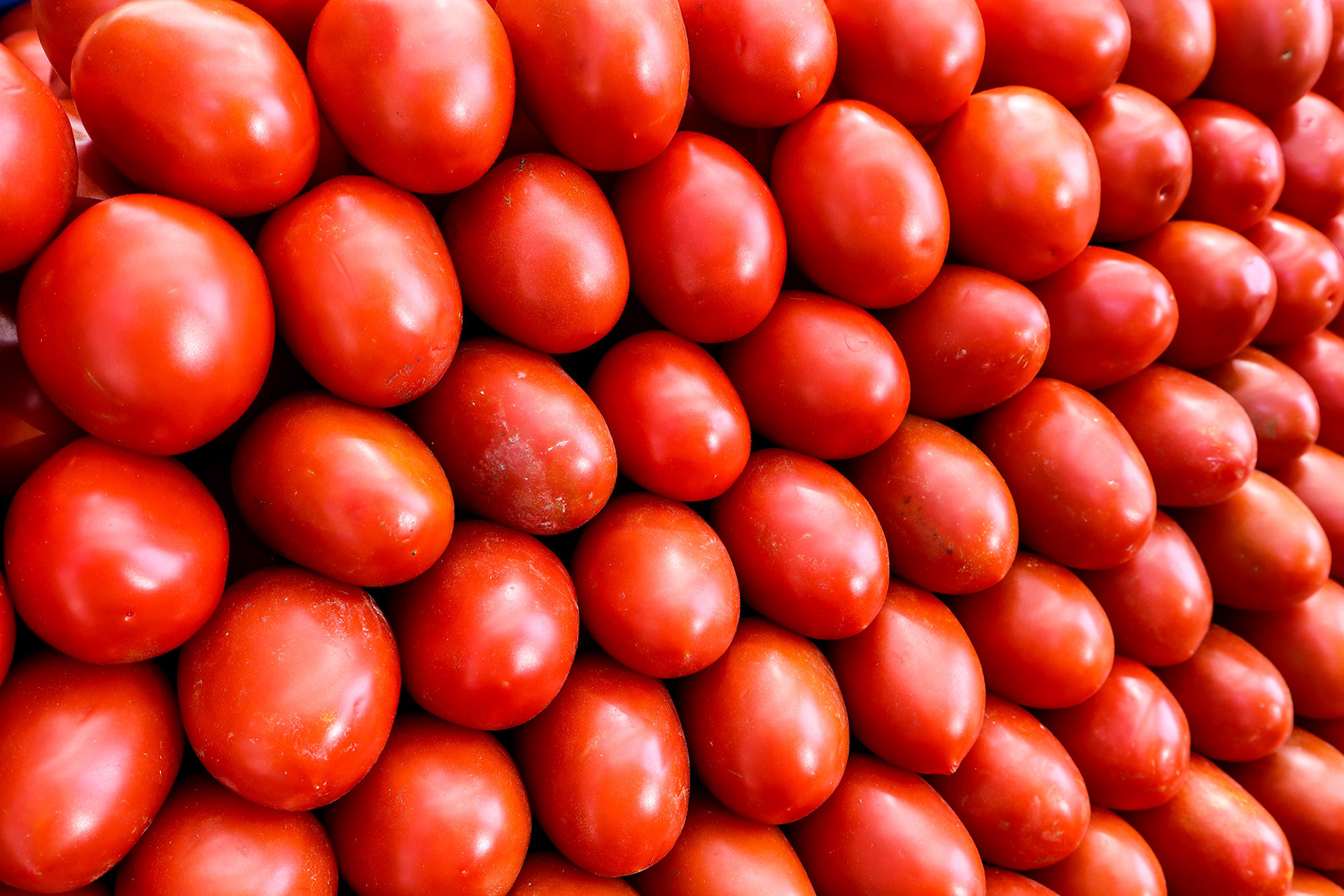 Tomatoes at the Market in Mexico