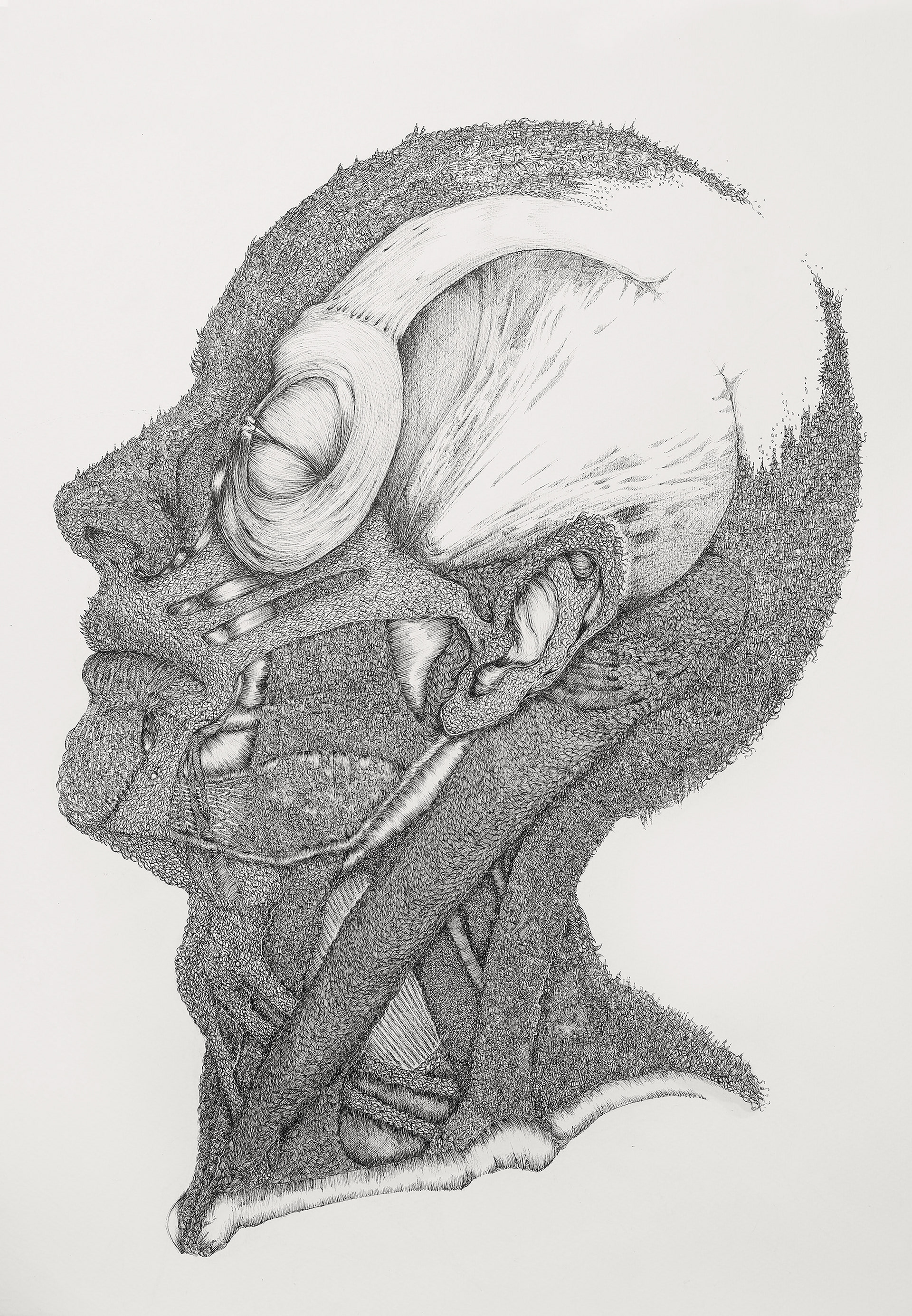65X50 CM / STYLO À ENCRE MICRON O.OO5 / ©MargauxHuijbregts