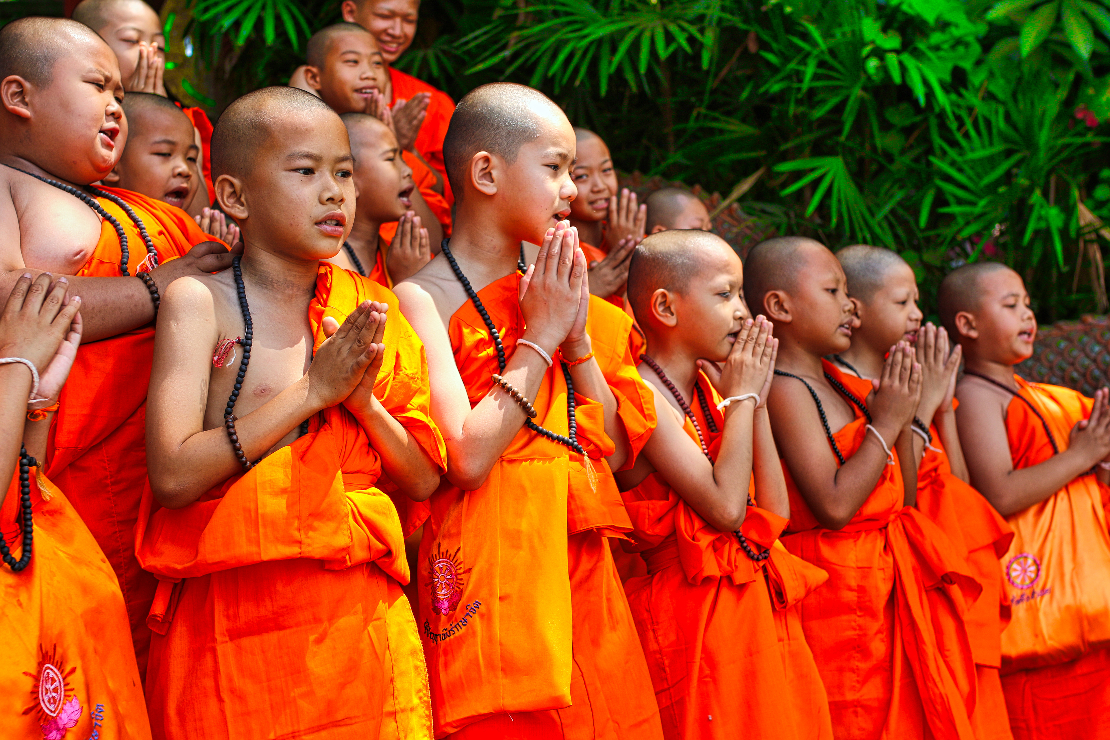 Young Monks