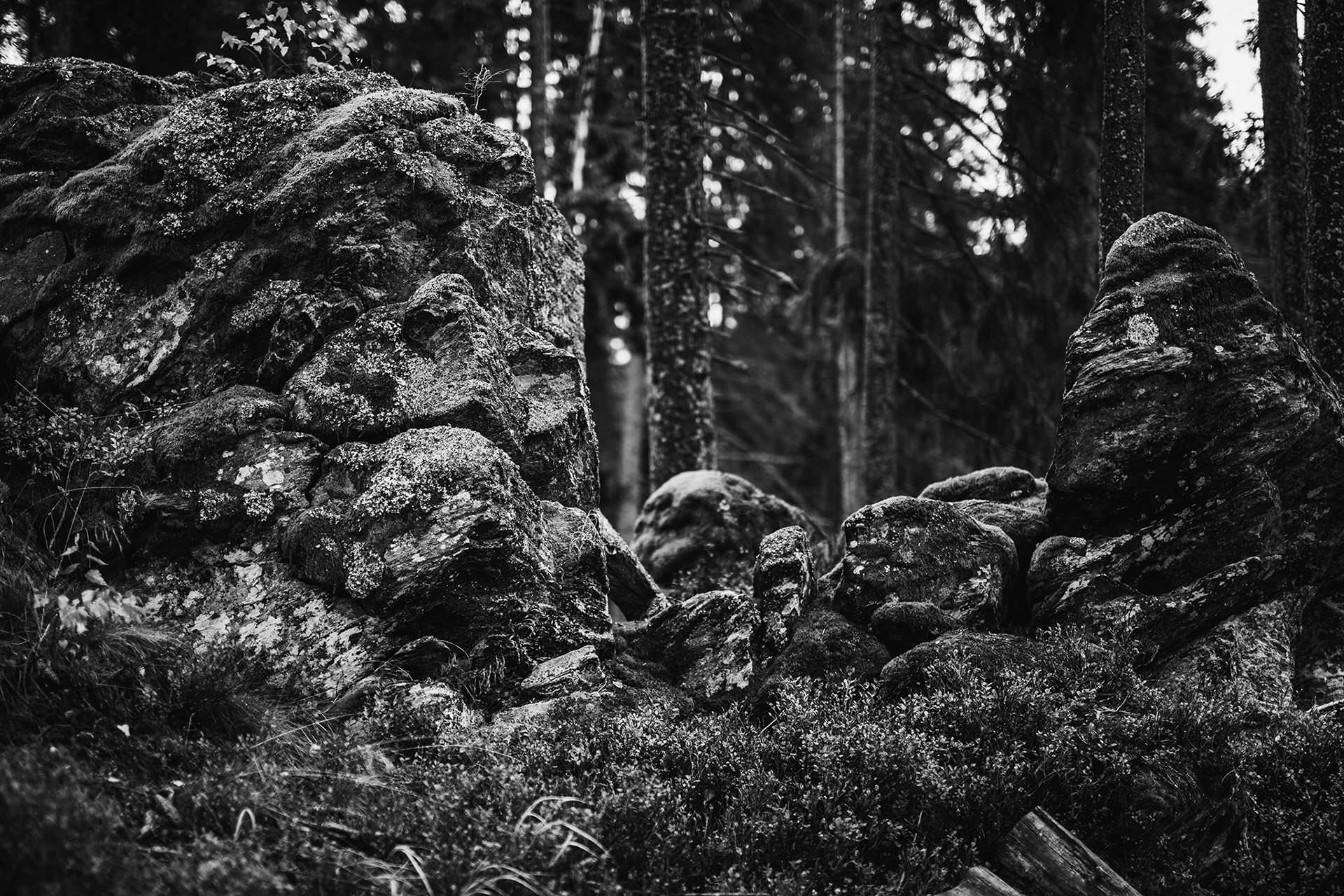 Šumava