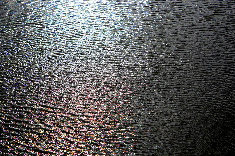Little pond near Muriwai Golf course.