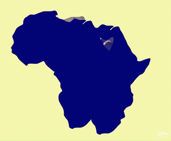 Africa, the pic of the day