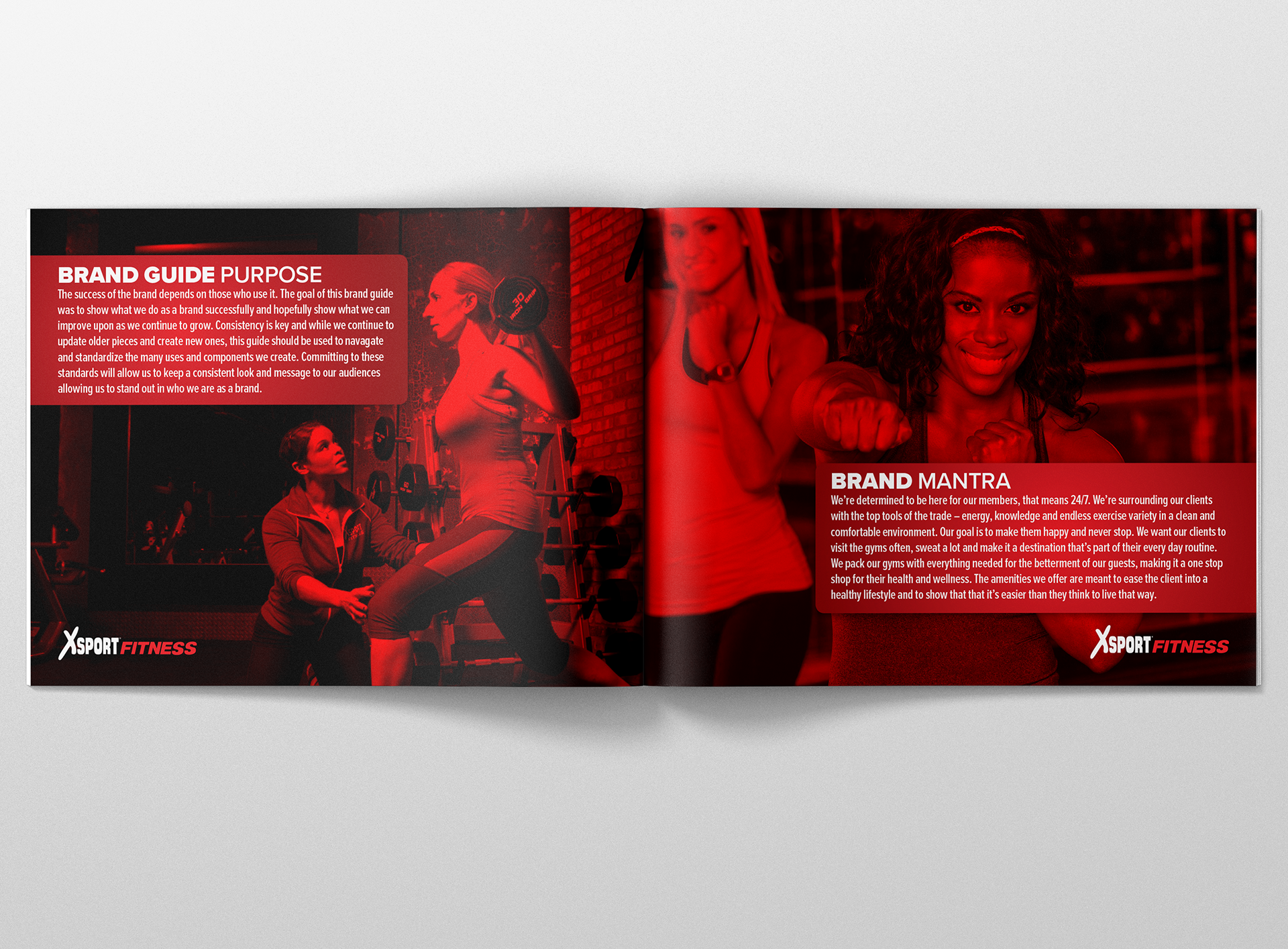 L: Purpose of the Brand Guide; R: Brand Mantra