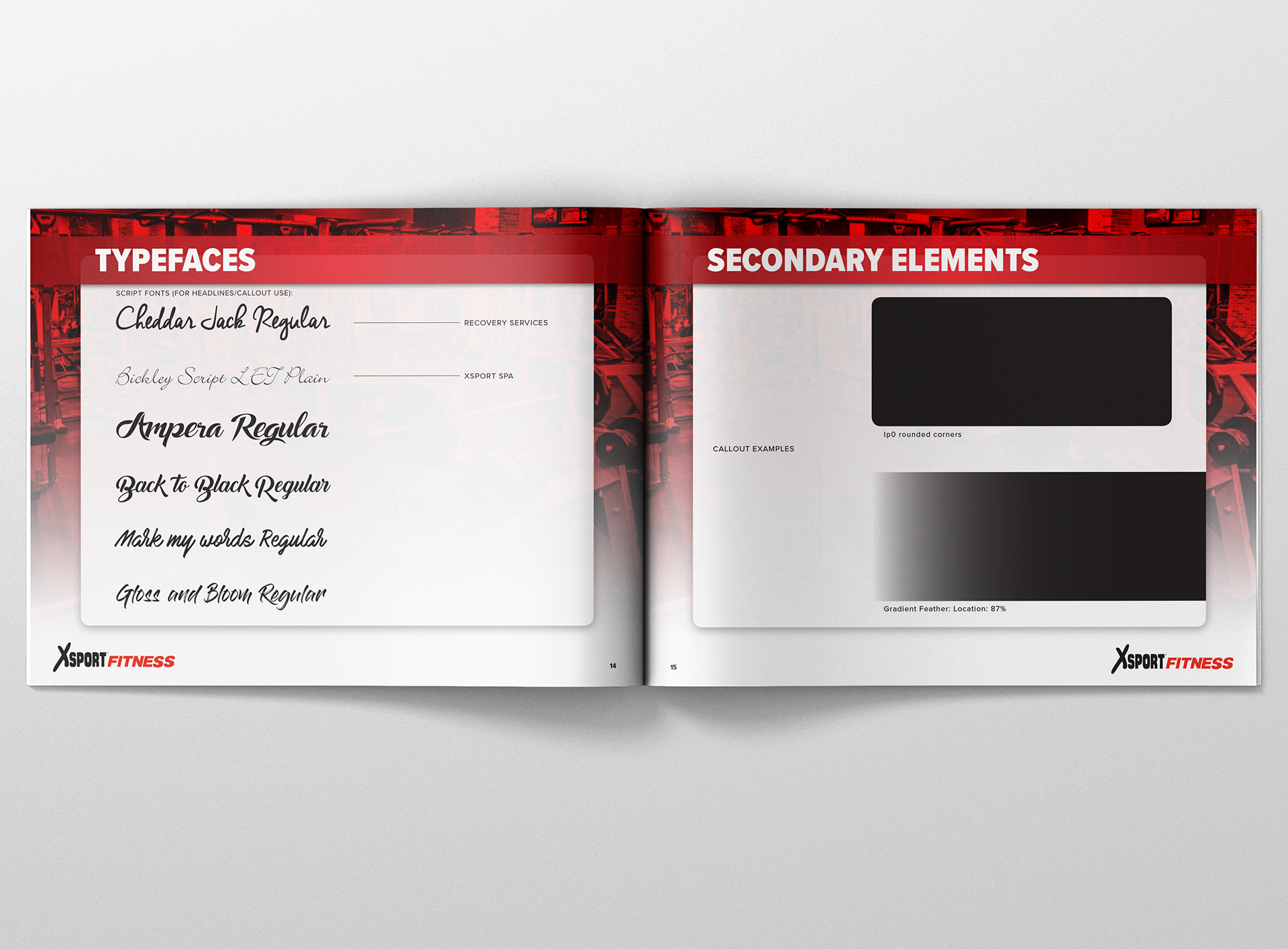 L: Script Fonts; R: Secondary Elements, Callouts