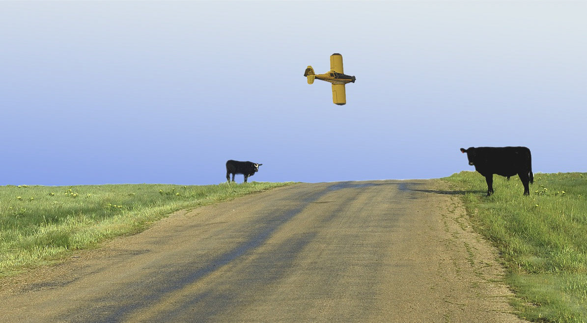 Airborne Toxic Event. Cows Don't Care.