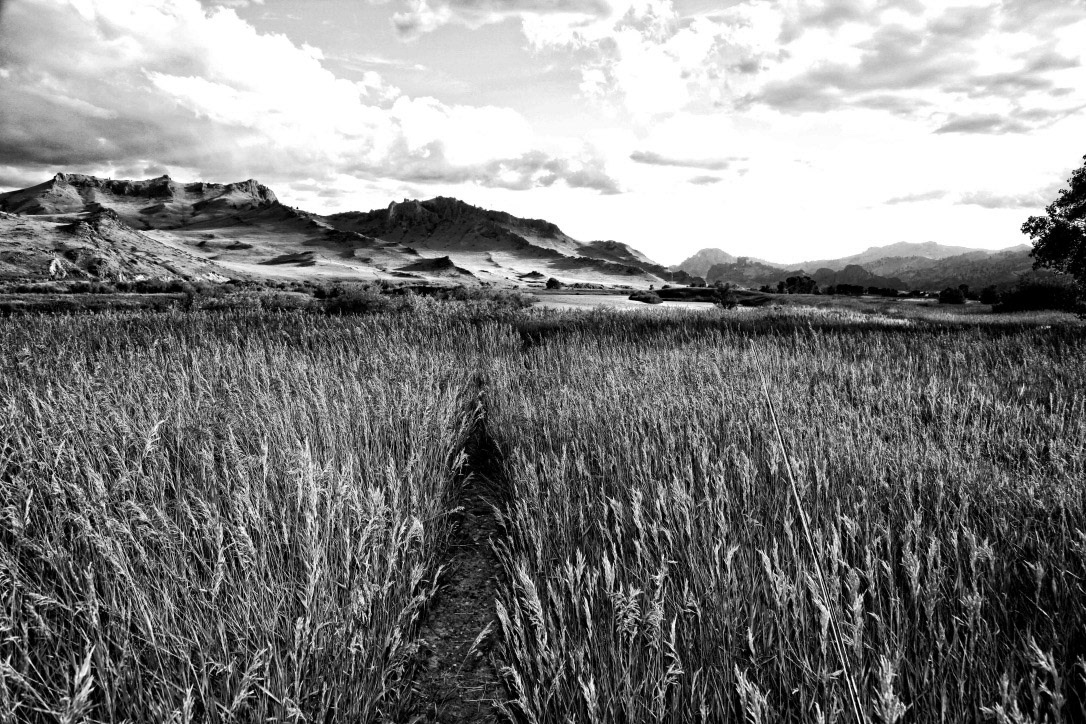Trail to Pelican Point
