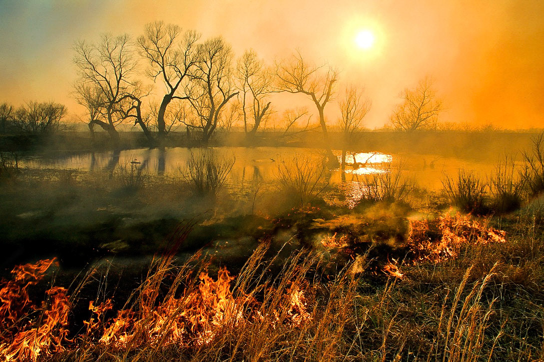 Burn-off at Water Rabbitt