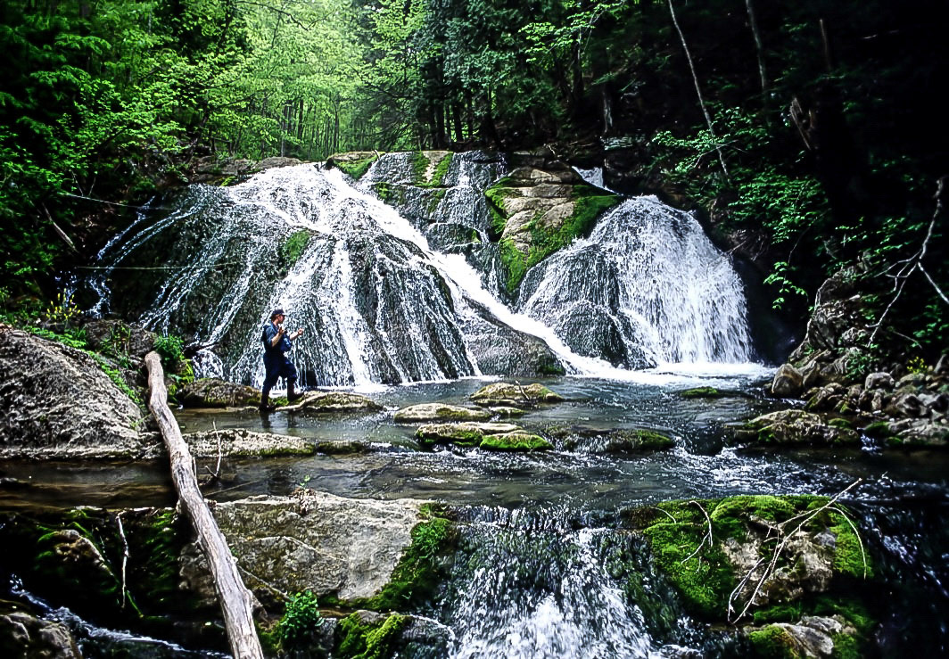 Looking Glass Falls, North Carolina