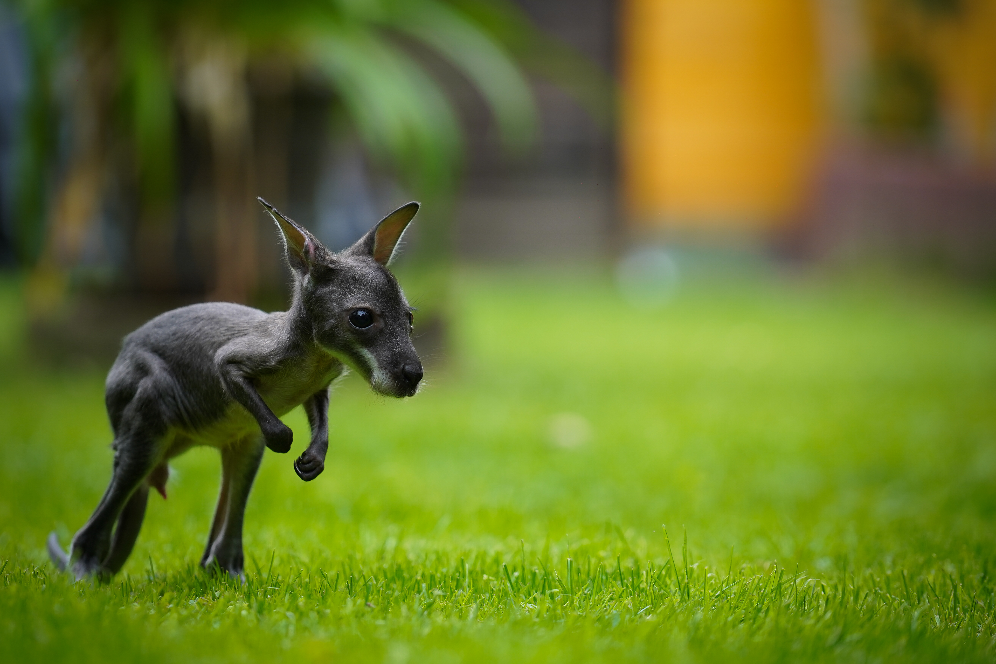 Ich werde noch ganz groß