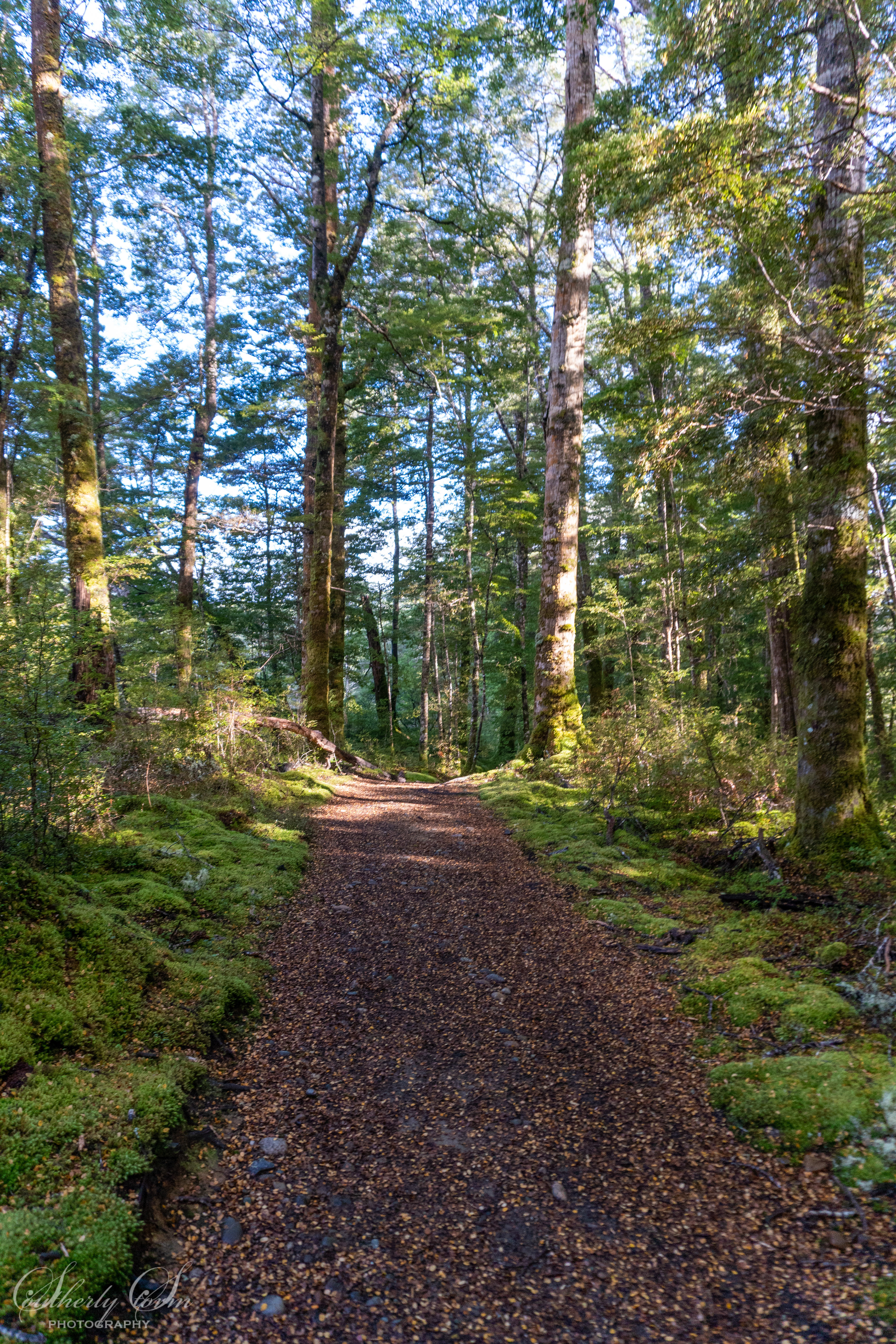 The Kepler Track