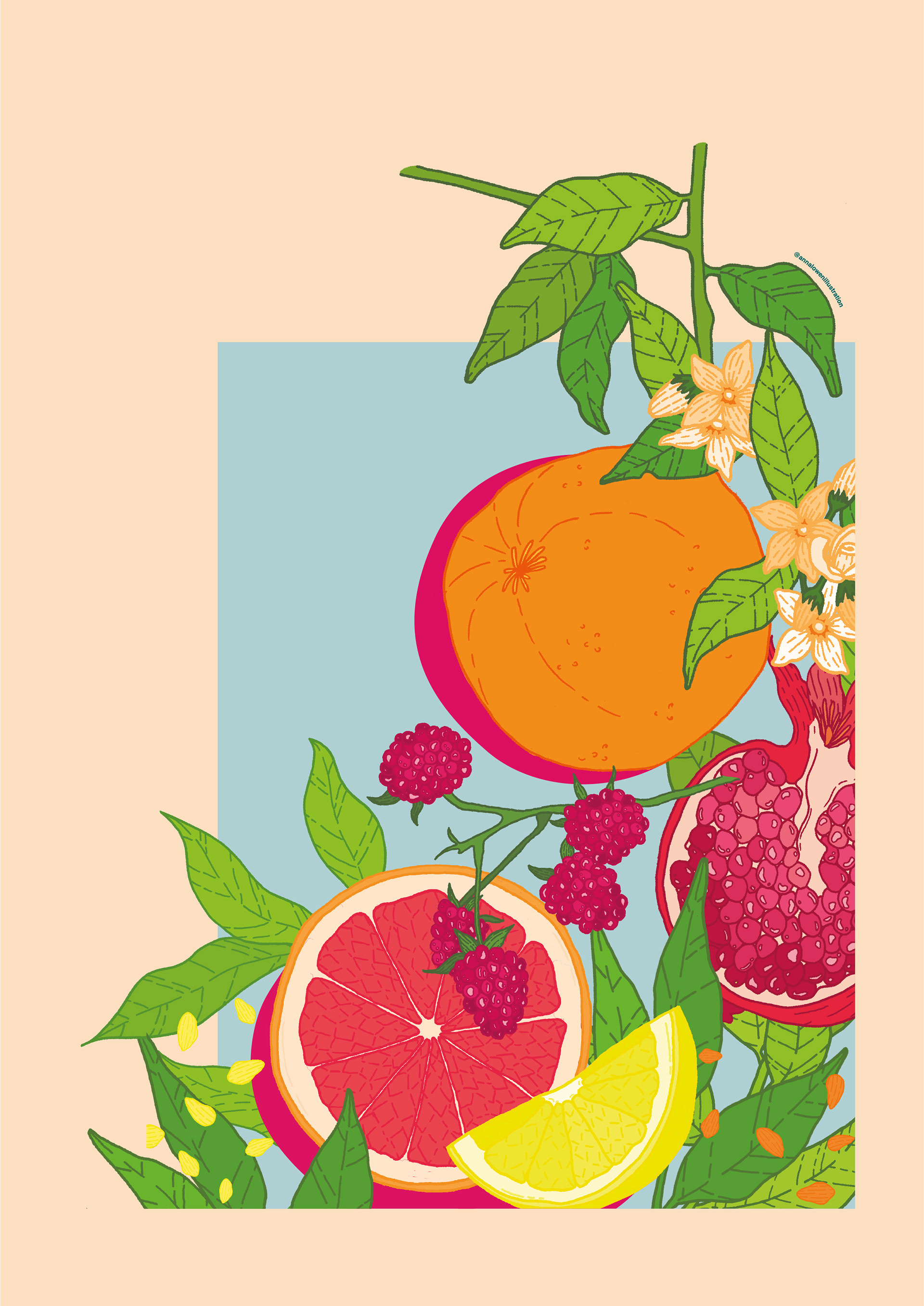 Fruit